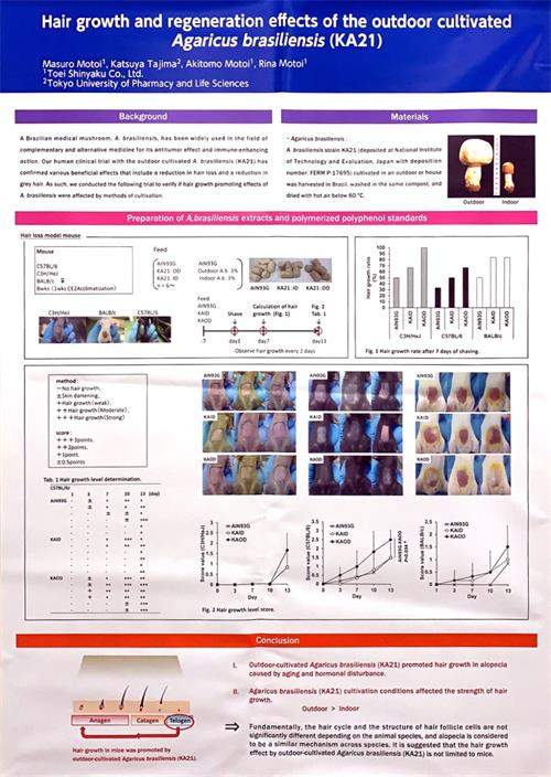 中國靈芝十大品牌|仙客來靈芝|仙客來靈芝破壁孢子粉|仙客來孢子油|仙客來靈芝飲片|仙客來破壁孢子粉|仙客來靈芝中藥飲片|馳名商標(biāo)|m.uglowindustry.com|