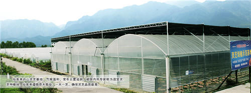 中國靈芝十大品牌|仙客來靈芝|仙客來靈芝破壁孢子粉|仙客來孢子油|仙客來靈芝飲片|仙客來破壁孢子粉|仙客來靈芝中藥飲片|馳名商標|m.uglowindustry.com|