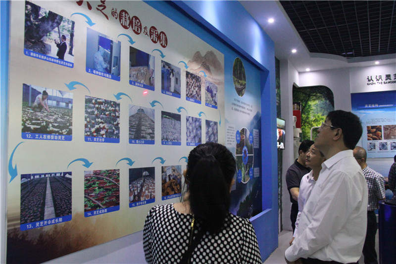 中國靈芝十大品牌|仙客來靈芝|仙客來靈芝破壁孢子粉|仙客來孢子油|仙客來靈芝飲片|仙客來破壁孢子粉|仙客來靈芝中藥飲片|馳名商標(biāo)|m.uglowindustry.com|