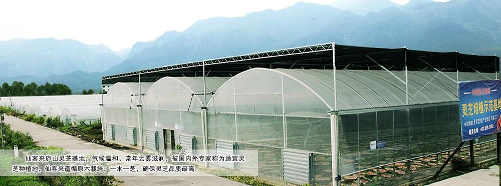 中國靈芝十大品牌|仙客來靈芝|仙客來靈芝破壁孢子粉|仙客來孢子油|仙客來靈芝飲片|仙客來破壁孢子粉|仙客來靈芝中藥飲片|馳名商標(biāo)|m.uglowindustry.com|