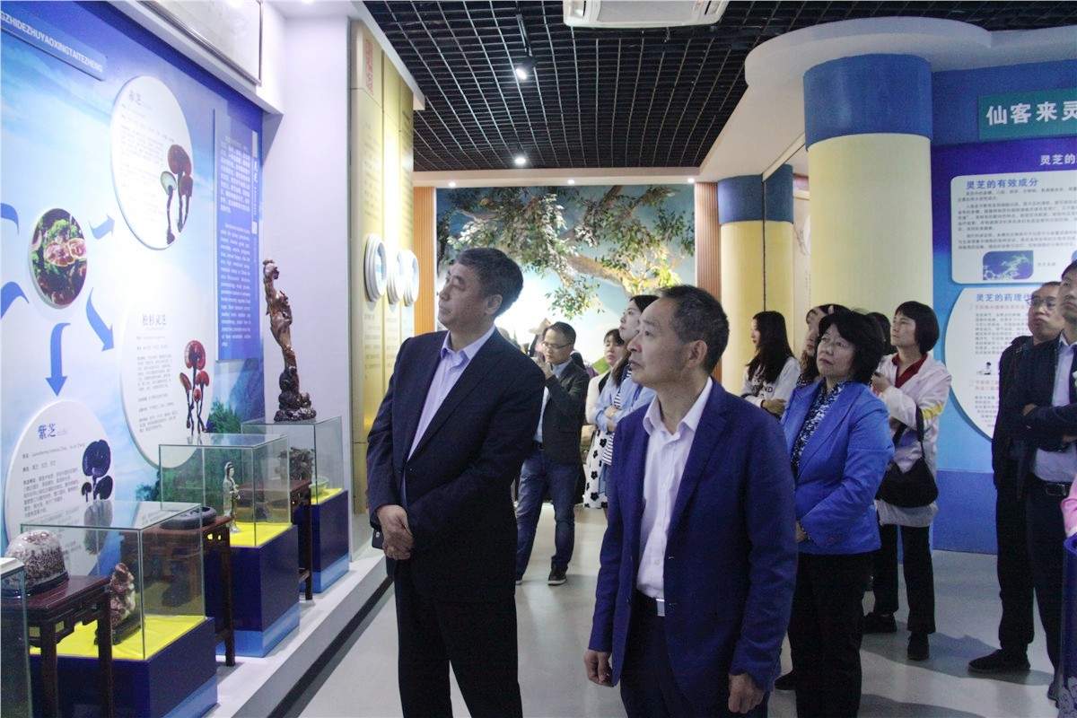 中國靈芝十大品牌|仙客來靈芝|仙客來靈芝破壁孢子粉|仙客來孢子油|仙客來靈芝飲片|仙客來破壁孢子粉|仙客來靈芝中藥飲片|馳名商標(biāo)|m.uglowindustry.com| 中國靈芝十大品牌|仙客來靈芝|仙客來靈芝破壁孢子粉|仙客來孢子油|仙客來靈芝飲片|仙客來破壁孢子粉|仙客來靈芝中藥飲片|馳名商標(biāo)|m.uglowindustry.com|