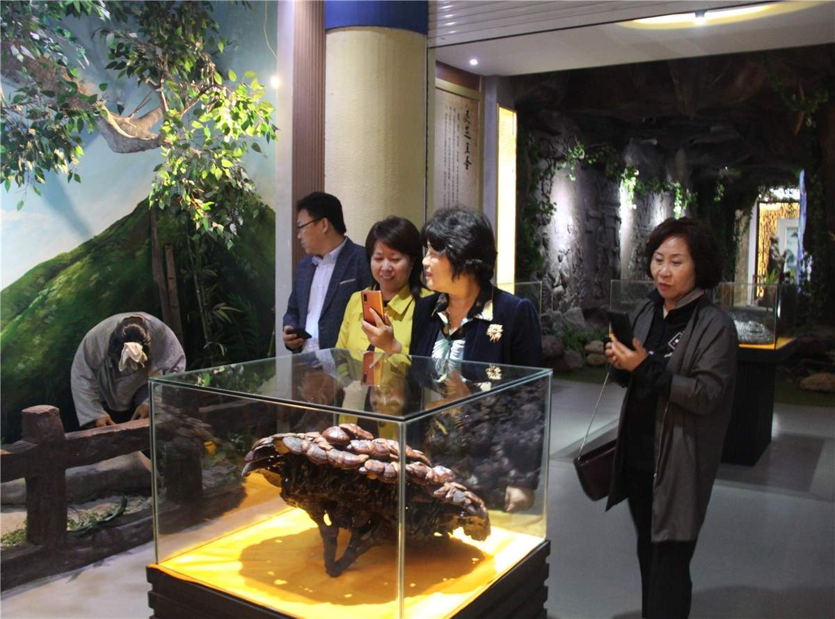 中國(guó)靈芝十大品牌|仙客來(lái)靈芝|仙客來(lái)靈芝破壁孢子粉|仙客來(lái)孢子油|仙客來(lái)靈芝飲片|仙客來(lái)破壁孢子粉|仙客來(lái)靈芝中藥飲片|馳名商標(biāo)|m.uglowindustry.com|