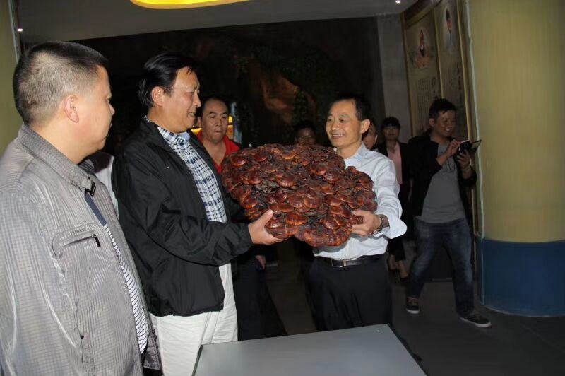 中國靈芝十大品牌|仙客來靈芝|仙客來靈芝破壁孢子粉|仙客來孢子油|仙客來靈芝飲片|仙客來破壁孢子粉|仙客來靈芝中藥飲片|馳名商標(biāo)|m.uglowindustry.com|