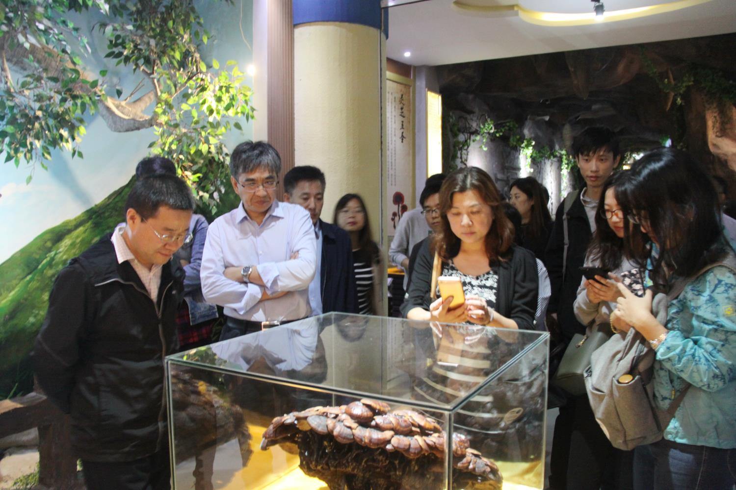 中國靈芝十大品牌|仙客來靈芝|仙客來靈芝破壁孢子粉|仙客來孢子油|仙客來靈芝飲片|仙客來破壁孢子粉|仙客來靈芝中藥飲片|馳名商標(biāo)|m.uglowindustry.com|