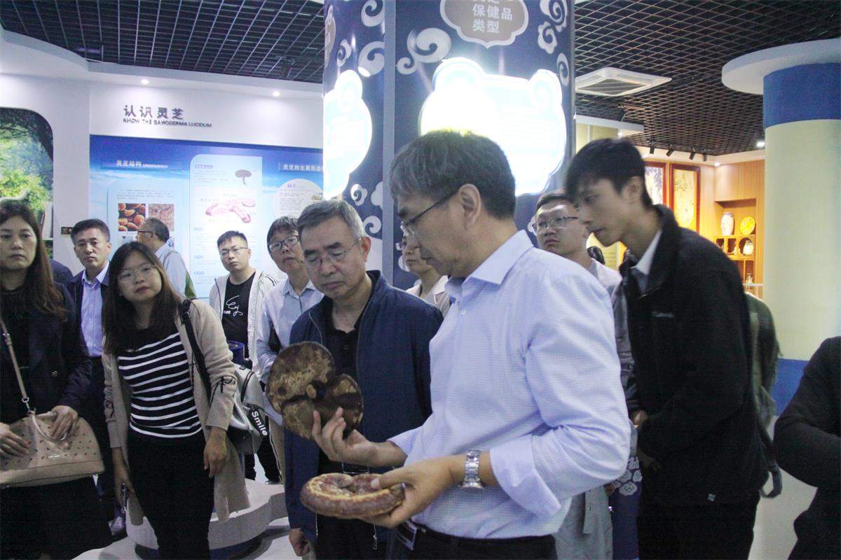 中國靈芝十大品牌|仙客來靈芝|仙客來靈芝破壁孢子粉|仙客來孢子油|仙客來靈芝飲片|仙客來破壁孢子粉|仙客來靈芝中藥飲片|馳名商標(biāo)|m.uglowindustry.com|