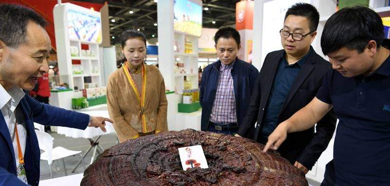 中國靈芝十大品牌|仙客來靈芝|仙客來靈芝破壁孢子粉|仙客來孢子油|仙客來靈芝飲片|仙客來破壁孢子粉|仙客來靈芝中藥飲片|馳名商標(biāo)|m.uglowindustry.com|