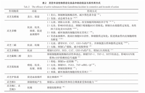 杭州亞運(yùn)會(huì)官方靈芝產(chǎn)品供應(yīng)商|杭州亞運(yùn)會(huì)官方供應(yīng)商|中國靈芝十大品牌|仙客來靈芝|仙客來靈芝破壁孢子粉|仙客來孢子油|仙客來靈芝飲片|仙客來破壁孢子粉|靈芝孢子油|孢子粉|靈芝破壁孢子粉|靈芝|中華老字號(hào)