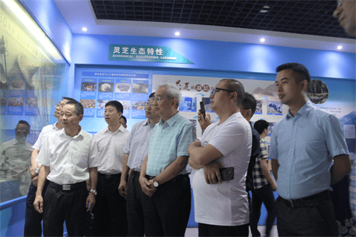 杭州亞運(yùn)會(huì)官方靈芝產(chǎn)品供應(yīng)商|杭州亞運(yùn)會(huì)官方供應(yīng)商|中國靈芝十大品牌|仙客來靈芝|仙客來靈芝破壁孢子粉|仙客來孢子油|仙客來靈芝飲片|仙客來破壁孢子粉|靈芝孢子油|孢子粉|靈芝破壁孢子粉|靈芝|中華老字號