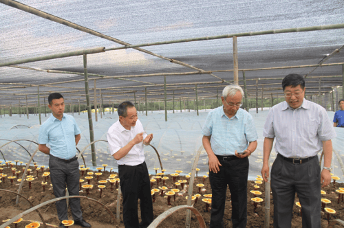 杭州亞運(yùn)會(huì)官方靈芝產(chǎn)品供應(yīng)商|杭州亞運(yùn)會(huì)官方供應(yīng)商|中國靈芝十大品牌|仙客來靈芝|仙客來靈芝破壁孢子粉|仙客來孢子油|仙客來靈芝飲片|仙客來破壁孢子粉|靈芝孢子油|孢子粉|靈芝破壁孢子粉|靈芝|中華老字號