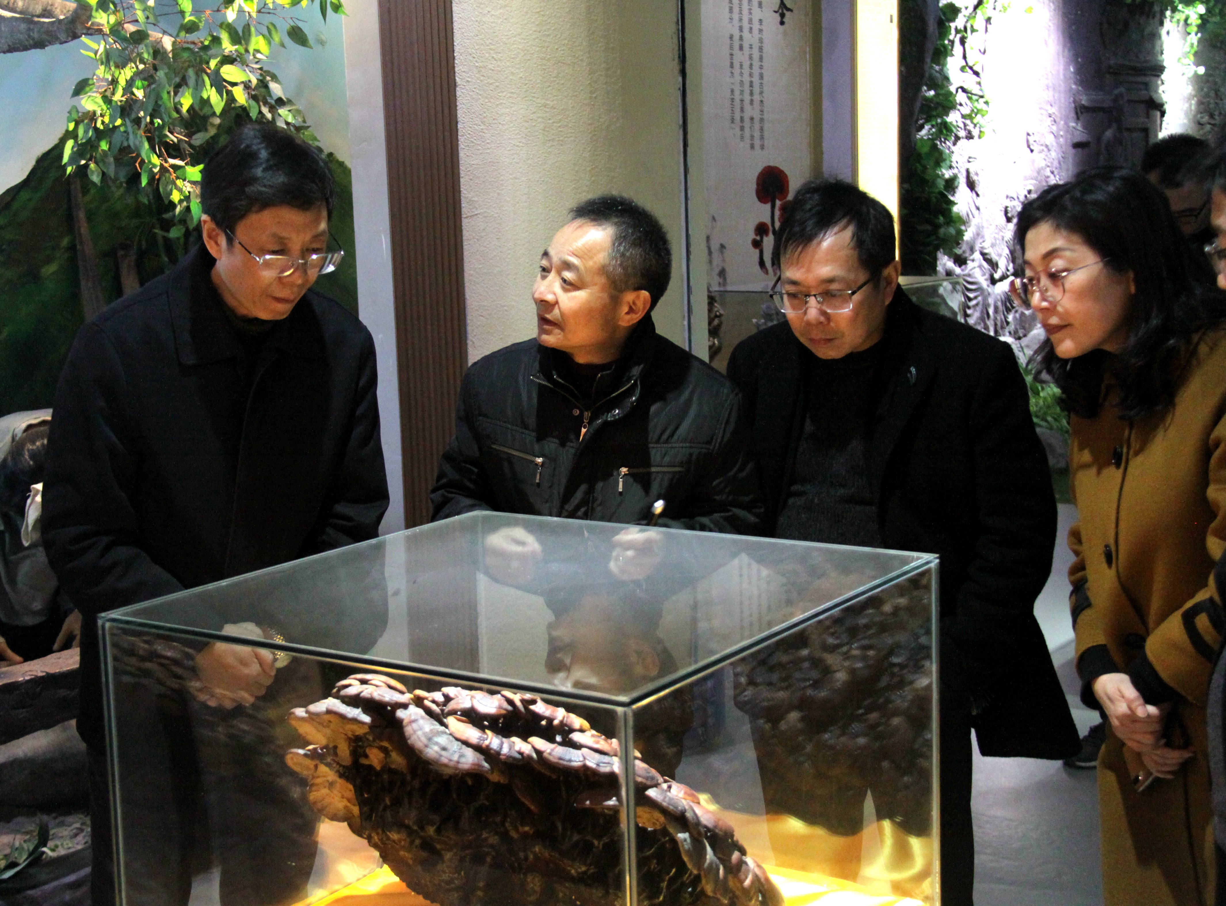 杭州亞運(yùn)會(huì)官方靈芝產(chǎn)品供應(yīng)商|杭州亞運(yùn)會(huì)官方供應(yīng)商|中國(guó)靈芝十大品牌|仙客來(lái)靈芝|仙客來(lái)靈芝破壁孢子粉|仙客來(lái)孢子油|仙客來(lái)靈芝飲片|仙客來(lái)破壁孢子粉|靈芝孢子油|孢子粉|靈芝破壁孢子粉|靈芝|中華老字號(hào) 杭州亞運(yùn)會(huì)官方靈芝產(chǎn)品供應(yīng)商|杭州亞運(yùn)會(huì)官方供應(yīng)商|中國(guó)靈芝十大品牌|仙客來(lái)靈芝|仙客來(lái)靈芝破壁孢子粉|仙客來(lái)孢子油|仙客來(lái)靈芝飲片|仙客來(lái)破壁孢子粉|靈芝孢子油|孢子粉|靈芝破壁孢子粉|靈芝|中華老字號(hào)