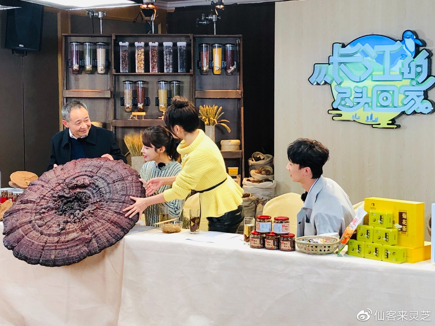 杭州亞運(yùn)會官方靈芝產(chǎn)品供應(yīng)商|杭州亞運(yùn)會官方供應(yīng)商|中國靈芝十大品牌|仙客來靈芝|仙客來靈芝破壁孢子粉|仙客來孢子油|仙客來靈芝飲片|仙客來破壁孢子粉|靈芝孢子油|孢子粉|靈芝破壁孢子粉|靈芝|中華老字號