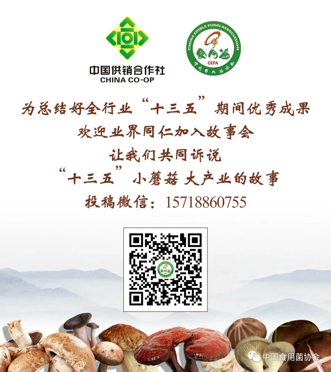 杭州亞運(yùn)會官方靈芝產(chǎn)品供應(yīng)商|杭州亞運(yùn)會官方供應(yīng)商|中國靈芝十大品牌|仙客來靈芝|仙客來靈芝破壁孢子粉|仙客來孢子油|仙客來靈芝飲片|仙客來破壁孢子粉|靈芝孢子油|孢子粉|靈芝破壁孢子粉|靈芝|中華老字號