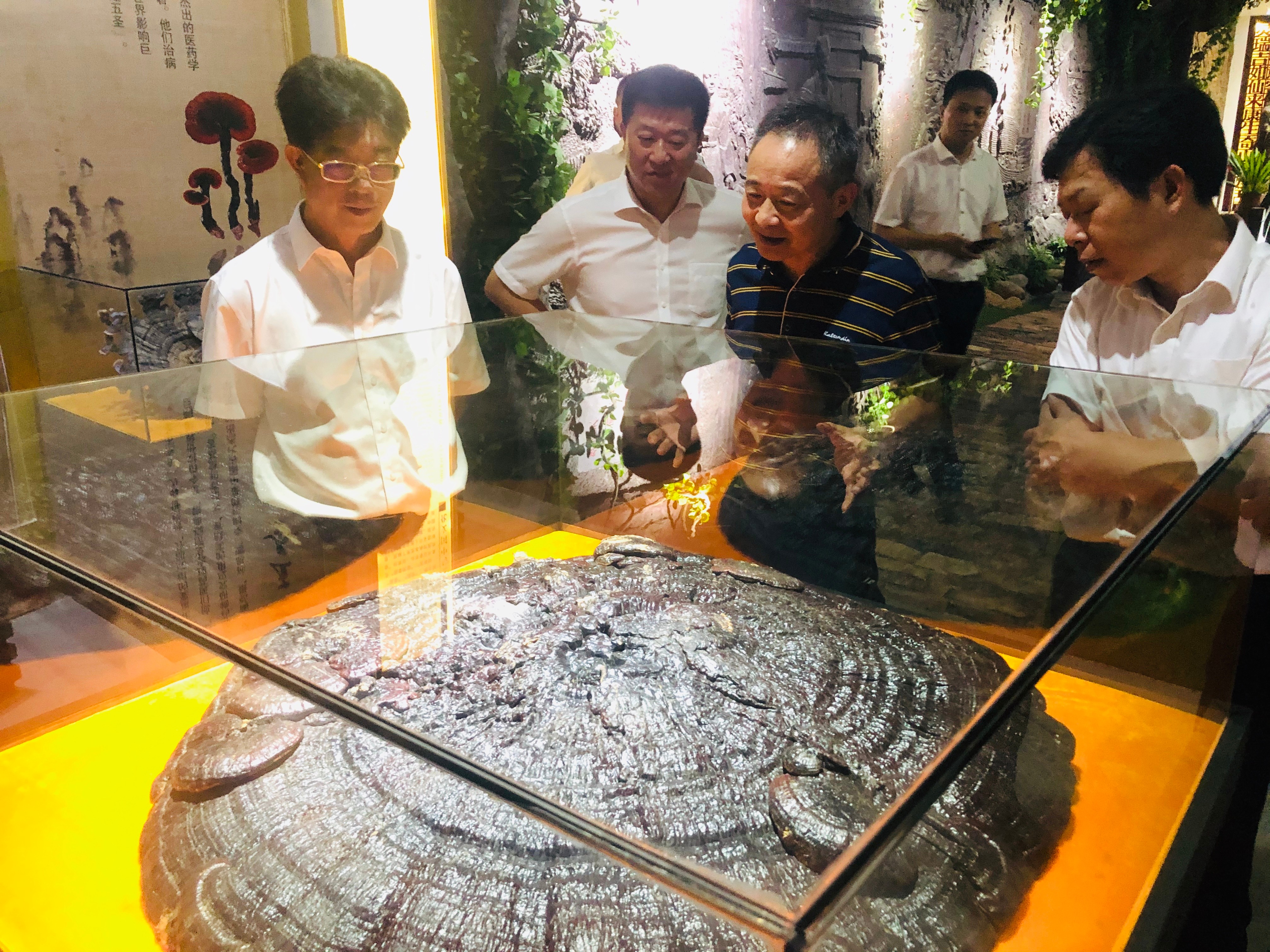 杭州亞運(yùn)會官方靈芝產(chǎn)品供應(yīng)商|杭州亞運(yùn)會官方供應(yīng)商|中國靈芝十大品牌|仙客來靈芝|仙客來靈芝破壁孢子粉|仙客來孢子油|仙客來靈芝飲片|仙客來破壁孢子粉|靈芝孢子油|孢子粉|靈芝破壁孢子粉|靈芝|中華老字號 杭州亞運(yùn)會官方靈芝產(chǎn)品供應(yīng)商|杭州亞運(yùn)會官方供應(yīng)商|中國靈芝十大品牌|仙客來靈芝|仙客來靈芝破壁孢子粉|仙客來孢子油|仙客來靈芝飲片|仙客來破壁孢子粉|靈芝孢子油|孢子粉|靈芝破壁孢子粉|靈芝|中華老字號