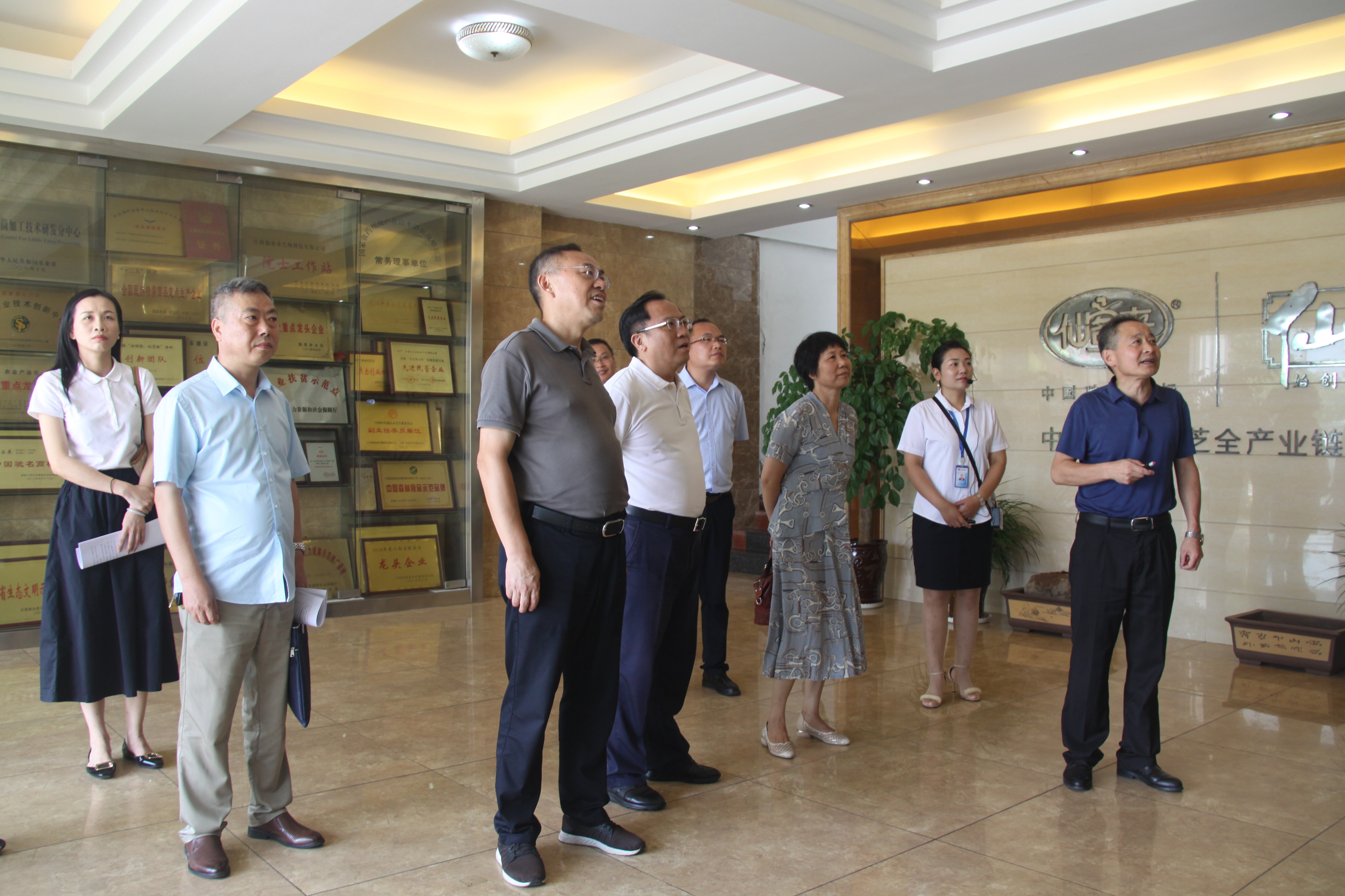 杭州亞運(yùn)會(huì)官方靈芝產(chǎn)品供應(yīng)商|杭州亞運(yùn)會(huì)官方供應(yīng)商|中國(guó)靈芝十大品牌|仙客來靈芝|仙客來靈芝破壁孢子粉|仙客來孢子油|仙客來靈芝飲片|仙客來破壁孢子粉|靈芝孢子油|孢子粉|靈芝破壁孢子粉|靈芝|中華老字號(hào)