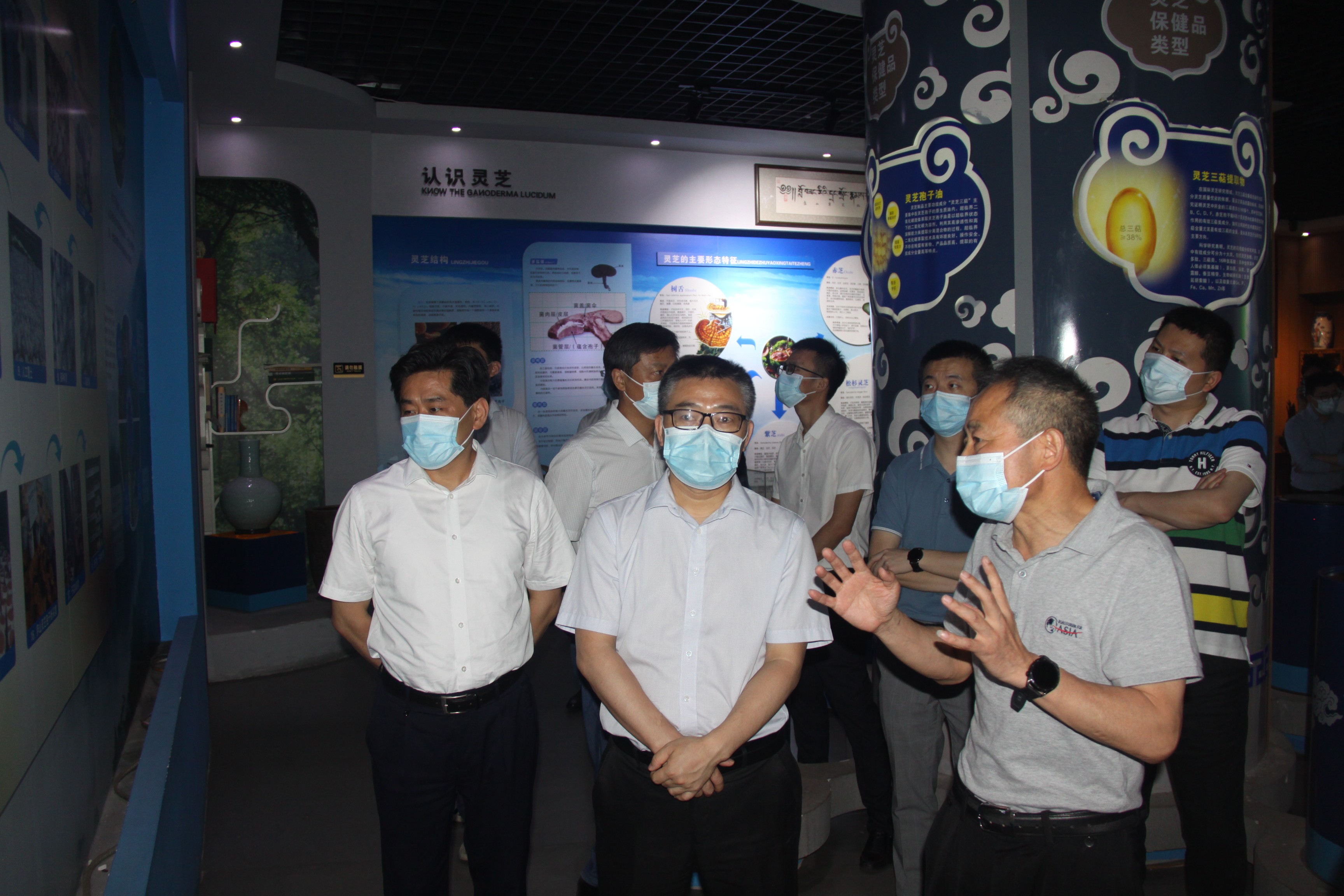 杭州亞運(yùn)會(huì)官方靈芝產(chǎn)品供應(yīng)商|杭州亞運(yùn)會(huì)官方供應(yīng)商|中國(guó)靈芝十大品牌|仙客來靈芝|仙客來靈芝破壁孢子粉|仙客來孢子油|仙客來靈芝飲片|仙客來破壁孢子粉|靈芝孢子油|孢子粉|靈芝破壁孢子粉|靈芝|中華老字號(hào)