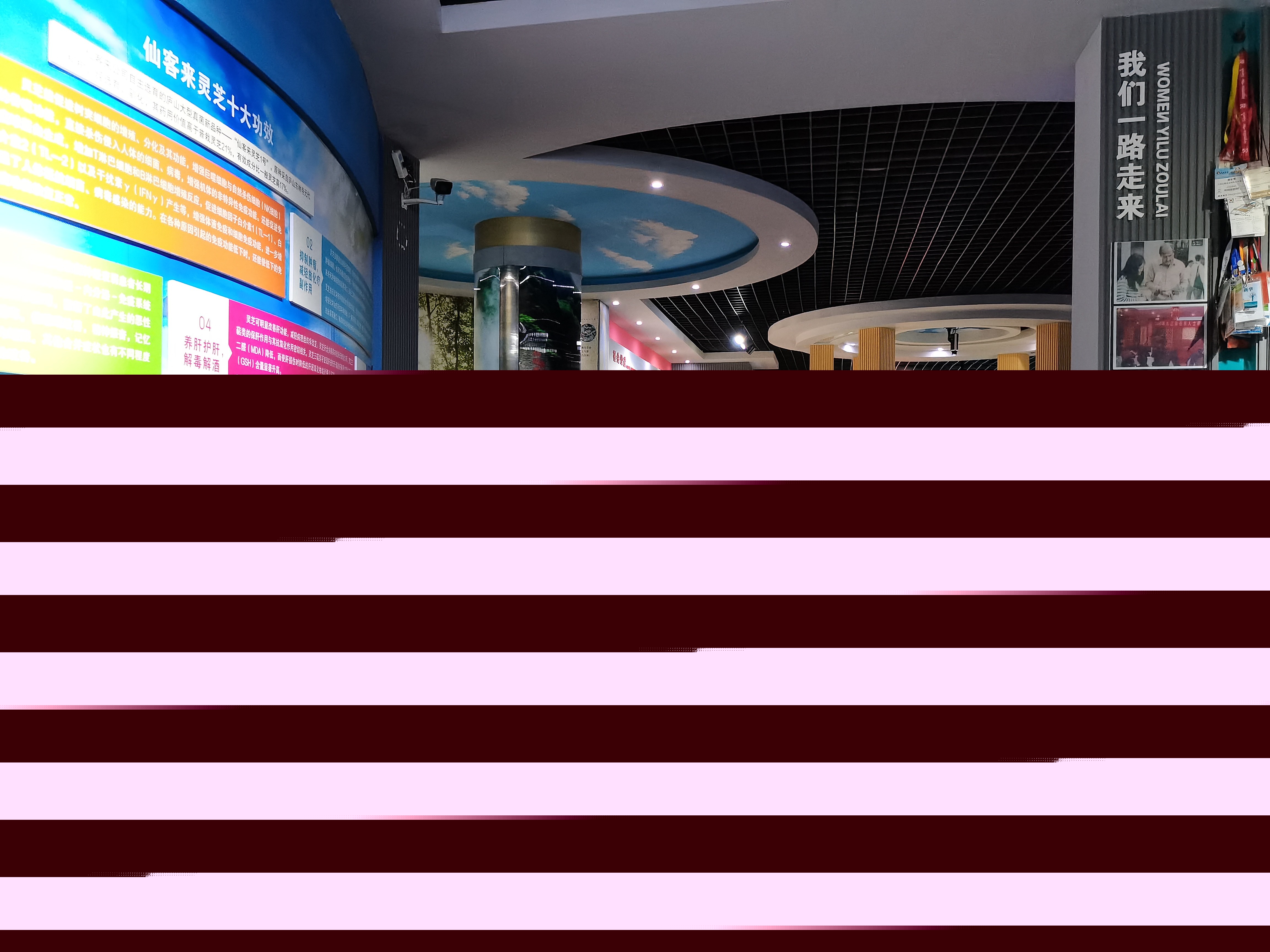 杭州亞運(yùn)會(huì)官方靈芝產(chǎn)品供應(yīng)商|杭州亞運(yùn)會(huì)官方供應(yīng)商|中國(guó)靈芝十大品牌|仙客來靈芝|仙客來靈芝破壁孢子粉|仙客來孢子油|仙客來靈芝飲片|仙客來破壁孢子粉|靈芝孢子油|孢子粉|靈芝破壁孢子粉|靈芝|中華老字號(hào)