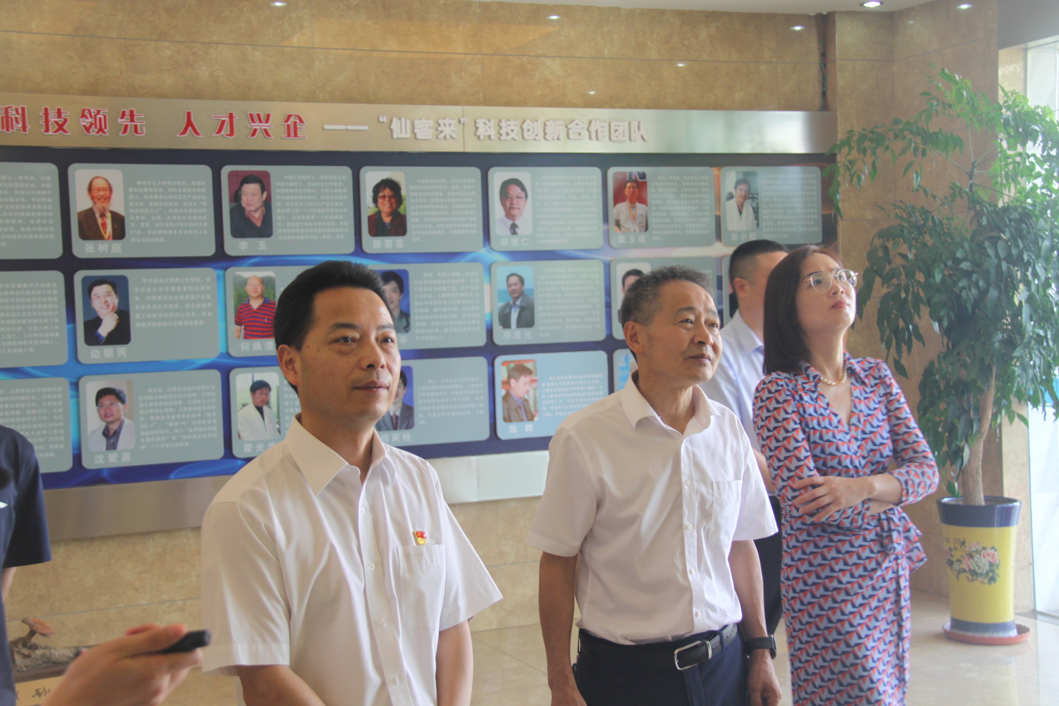 杭州亞運(yùn)會(huì)官方靈芝產(chǎn)品供應(yīng)商|杭州亞運(yùn)會(huì)官方供應(yīng)商|中國靈芝十大品牌|仙客來靈芝|仙客來靈芝破壁孢子粉|仙客來孢子油|仙客來靈芝飲片|仙客來破壁孢子粉|靈芝孢子油|孢子粉|靈芝破壁孢子粉|靈芝|中華老字號(hào)