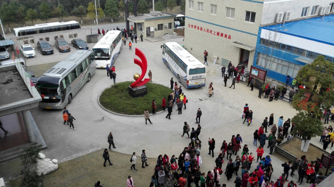 杭州亞運(yùn)會(huì)官方靈芝產(chǎn)品供應(yīng)商|杭州亞運(yùn)會(huì)官方供應(yīng)商|中國靈芝十大品牌|仙客來靈芝|仙客來靈芝破壁孢子粉|仙客來孢子油|仙客來靈芝飲片|仙客來破壁孢子粉|靈芝孢子油|孢子粉|靈芝破壁孢子粉|靈芝|中華老字號