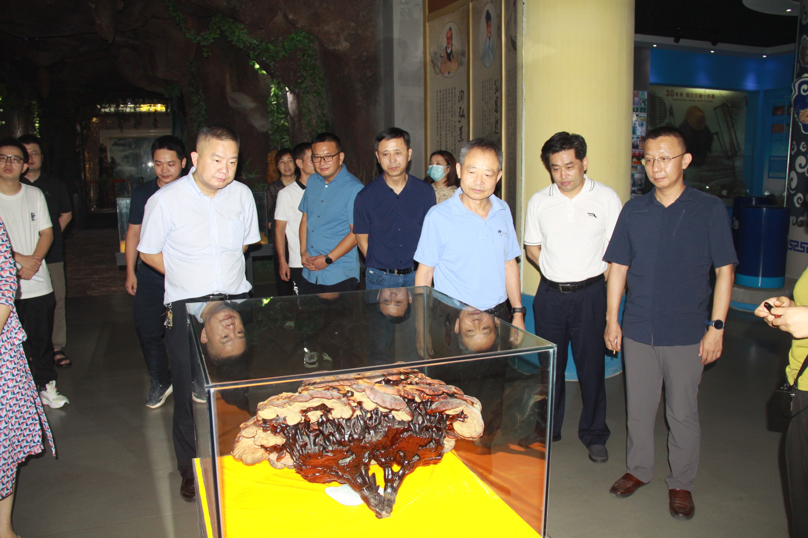 杭州亞運(yùn)會官方靈芝產(chǎn)品供應(yīng)商|杭州亞運(yùn)會官方供應(yīng)商|中國靈芝十大品牌|仙客來靈芝|仙客來靈芝破壁孢子粉|仙客來孢子油|仙客來靈芝飲片|仙客來破壁孢子粉|靈芝孢子油|孢子粉|靈芝破壁孢子粉|靈芝|中華老字號