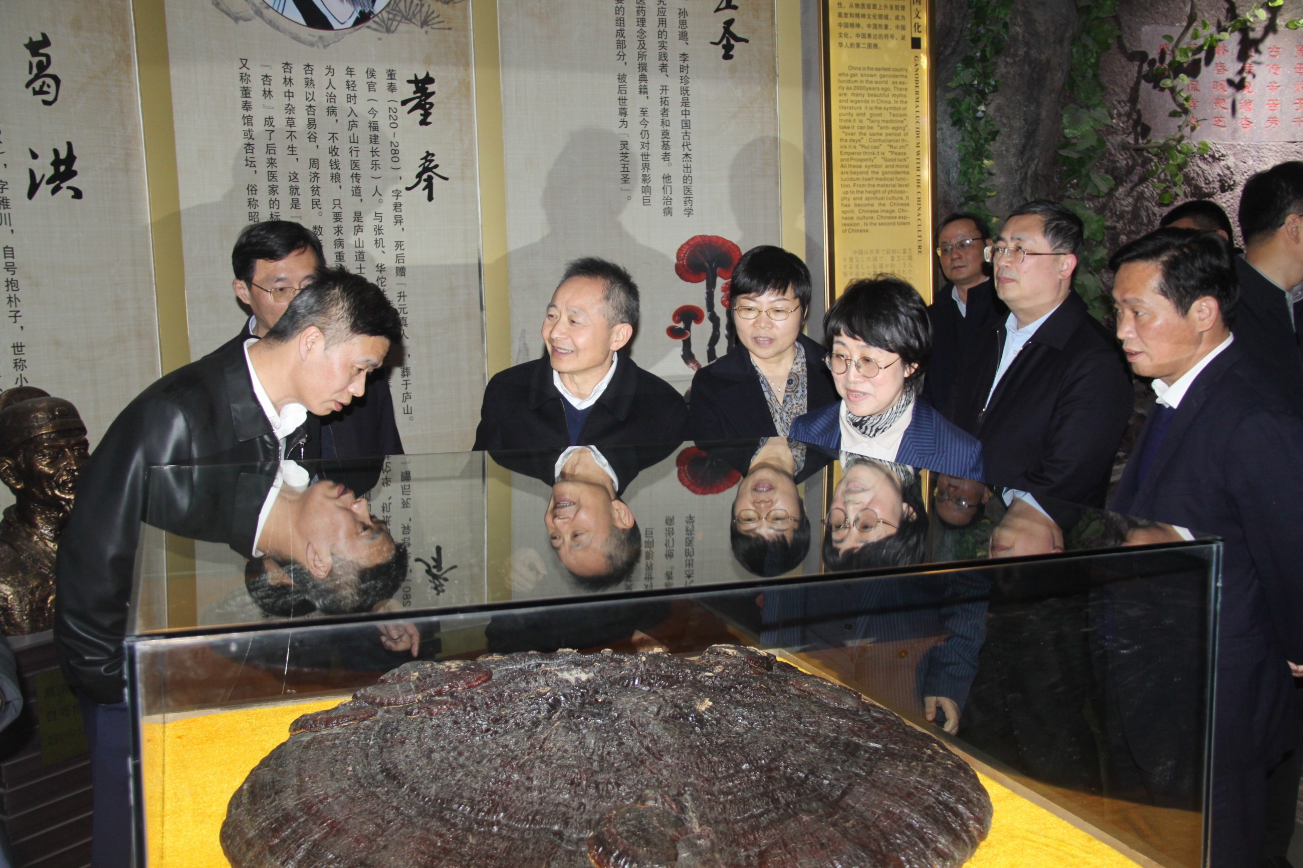 杭州亞運(yùn)會(huì)官方靈芝產(chǎn)品供應(yīng)商|杭州亞運(yùn)會(huì)官方供應(yīng)商|中國(guó)靈芝十大品牌|仙客來靈芝|仙客來靈芝破壁孢子粉|仙客來孢子油|仙客來靈芝飲片|仙客來破壁孢子粉|靈芝孢子油|孢子粉|靈芝破壁孢子粉|靈芝|中華老字號(hào)