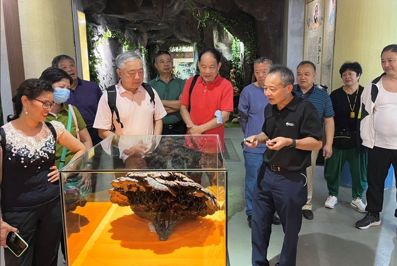 杭州亞運會官方靈芝產(chǎn)品供應商|杭州亞運會官方供應商|中國靈芝十大品牌|仙客來靈芝|仙客來靈芝破壁孢子粉|仙客來孢子油|仙客來靈芝飲片|仙客來破壁孢子粉|靈芝孢子油|孢子粉|靈芝破壁孢子粉|靈芝|中華老字號