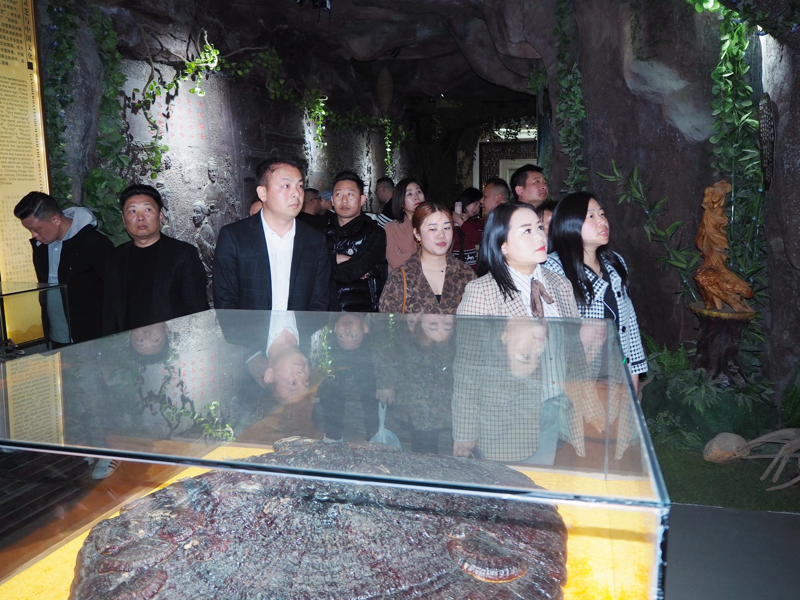 杭州亞運會官方靈芝產(chǎn)品供應(yīng)商|杭州亞運會官方供應(yīng)商|中國靈芝十大品牌|仙客來靈芝|仙客來靈芝破壁孢子粉|仙客來孢子油|仙客來靈芝飲片|仙客來破壁孢子粉|靈芝孢子油|孢子粉|靈芝破壁孢子粉|靈芝|中華老字號 杭州亞運會官方靈芝產(chǎn)品供應(yīng)商|杭州亞運會官方供應(yīng)商|中國靈芝十大品牌|仙客來靈芝|仙客來靈芝破壁孢子粉|仙客來孢子油|仙客來靈芝飲片|仙客來破壁孢子粉|靈芝孢子油|孢子粉|靈芝破壁孢子粉|靈芝|中華老字號