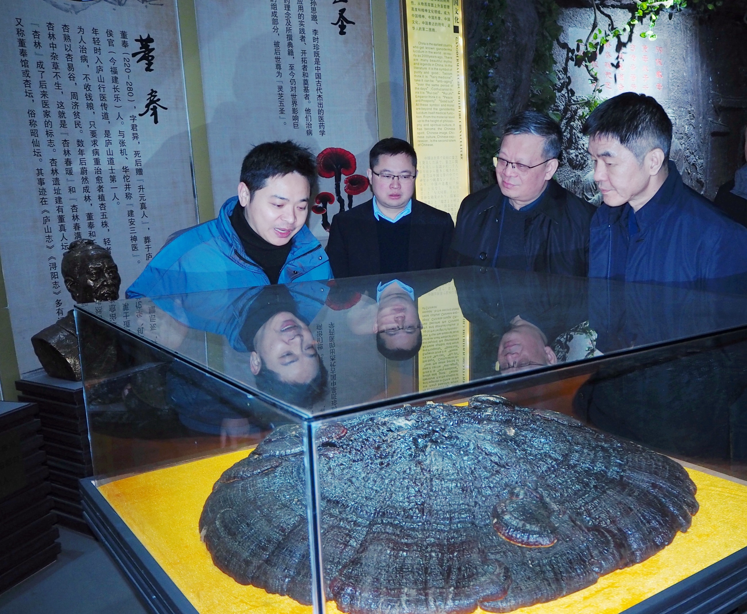 杭州亞運(yùn)會官方靈芝產(chǎn)品供應(yīng)商|杭州亞運(yùn)會官方供應(yīng)商|中國靈芝十大品牌|仙客來靈芝|仙客來靈芝破壁孢子粉|仙客來孢子油|仙客來靈芝飲片|仙客來破壁孢子粉|靈芝孢子油|孢子粉|靈芝破壁孢子粉|靈芝|中華老字號