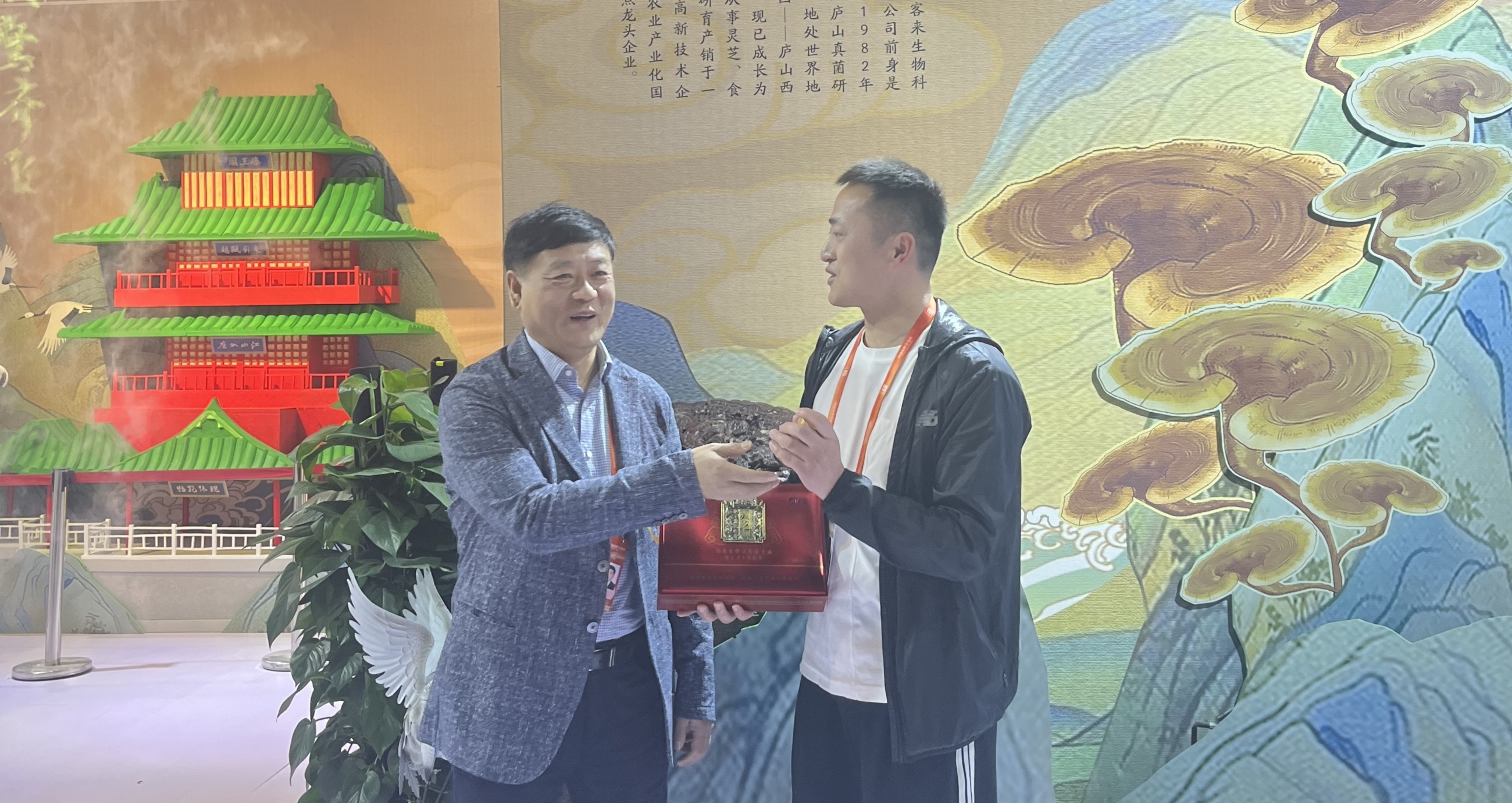 杭州亞運(yùn)會(huì)官方靈芝產(chǎn)品供應(yīng)商|杭州亞運(yùn)會(huì)官方供應(yīng)商|中國(guó)靈芝十大品牌|仙客來(lái)靈芝|仙客來(lái)靈芝破壁孢子粉|仙客來(lái)孢子油|仙客來(lái)靈芝飲片|仙客來(lái)破壁孢子粉|靈芝孢子油|孢子粉|靈芝破壁孢子粉|靈芝|中華老字號(hào) 杭州亞運(yùn)會(huì)官方靈芝產(chǎn)品供應(yīng)商|杭州亞運(yùn)會(huì)官方供應(yīng)商|中國(guó)靈芝十大品牌|仙客來(lái)靈芝|仙客來(lái)靈芝破壁孢子粉|仙客來(lái)孢子油|仙客來(lái)靈芝飲片|仙客來(lái)破壁孢子粉|靈芝孢子油|孢子粉|靈芝破壁孢子粉|靈芝|中華老字號(hào)