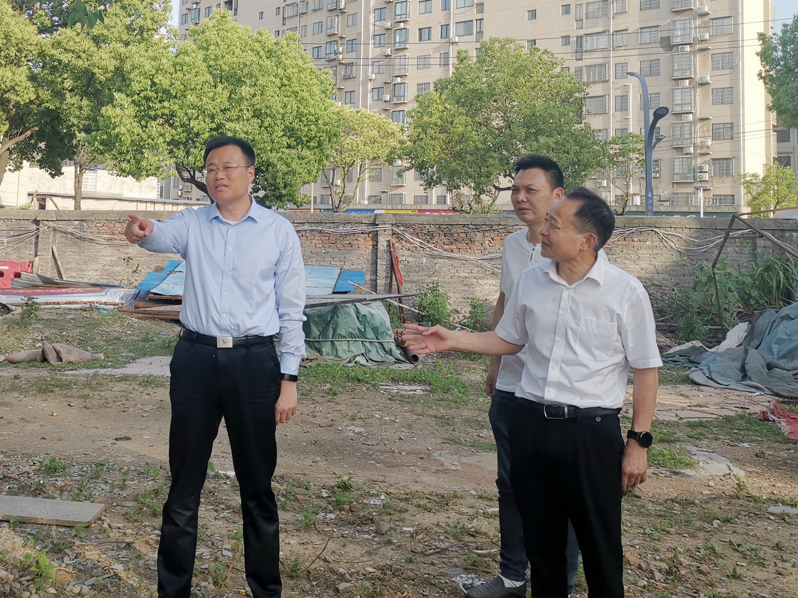 杭州亞運(yùn)會(huì)官方靈芝產(chǎn)品供應(yīng)商|杭州亞運(yùn)會(huì)官方供應(yīng)商|中國(guó)靈芝十大品牌|仙客來靈芝|仙客來靈芝破壁孢子粉|仙客來孢子油|仙客來靈芝飲片|仙客來破壁孢子粉|靈芝孢子油|孢子粉|靈芝破壁孢子粉|靈芝|中華老字號(hào) 杭州亞運(yùn)會(huì)官方靈芝產(chǎn)品供應(yīng)商|杭州亞運(yùn)會(huì)官方供應(yīng)商|中國(guó)靈芝十大品牌|仙客來靈芝|仙客來靈芝破壁孢子粉|仙客來孢子油|仙客來靈芝飲片|仙客來破壁孢子粉|靈芝孢子油|孢子粉|靈芝破壁孢子粉|靈芝|中華老字號(hào)