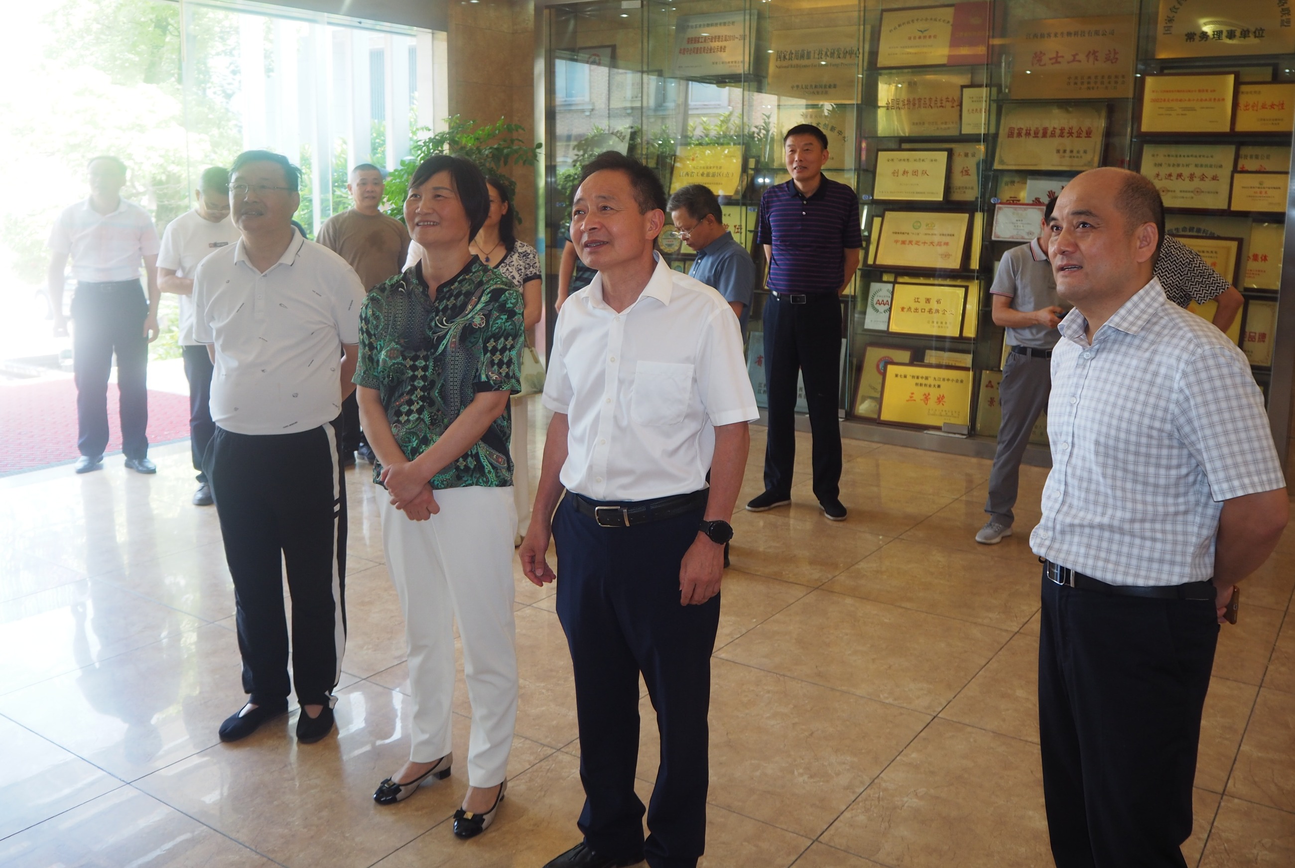 杭州亞運(yùn)會官方靈芝產(chǎn)品供應(yīng)商|杭州亞運(yùn)會官方供應(yīng)商|中國靈芝十大品牌|仙客來靈芝|仙客來靈芝破壁孢子粉|仙客來孢子油|仙客來靈芝飲片|仙客來破壁孢子粉|靈芝孢子油|孢子粉|靈芝破壁孢子粉|靈芝|中華老字號