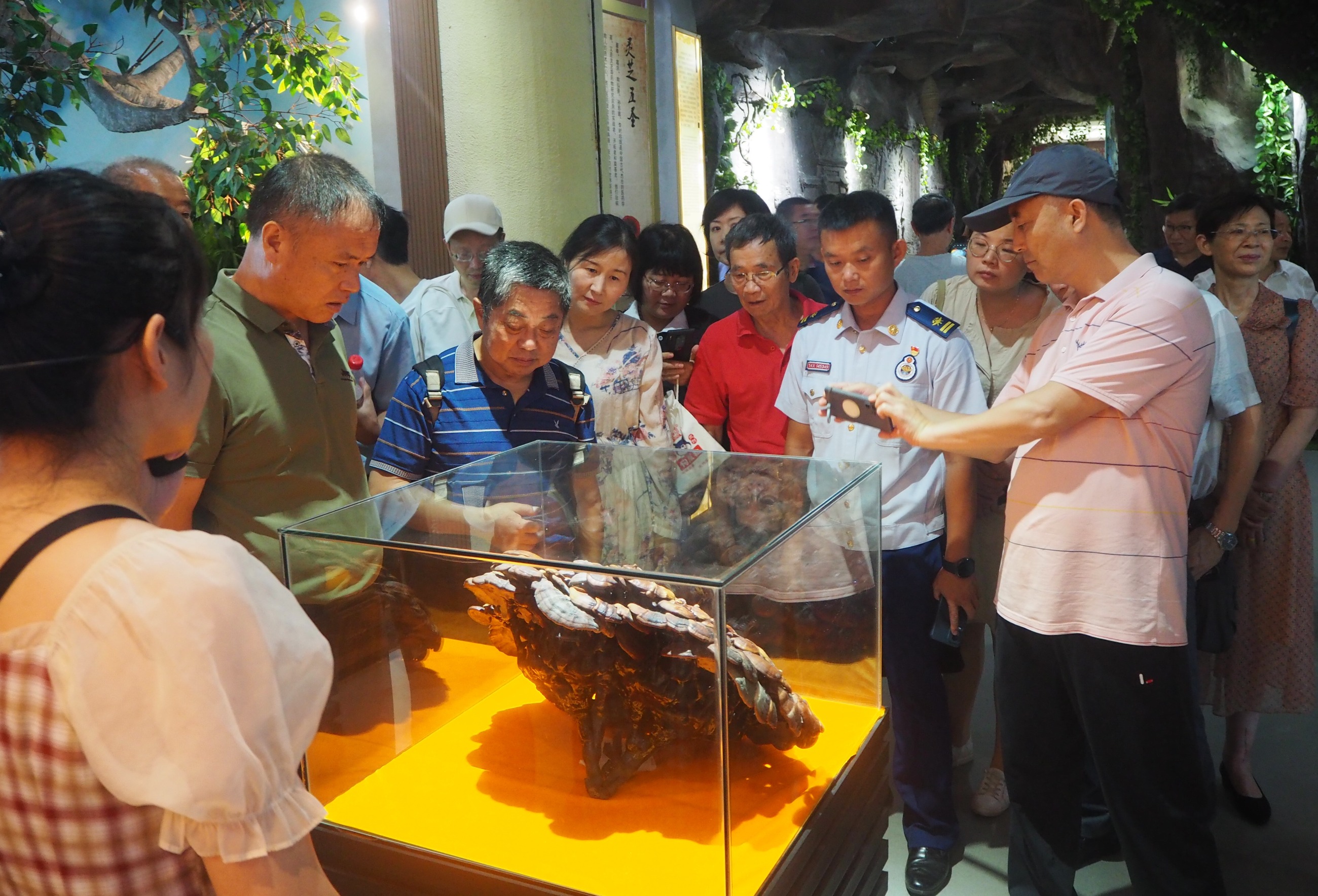 杭州亞運(yùn)會(huì)官方靈芝產(chǎn)品供應(yīng)商|杭州亞運(yùn)會(huì)官方供應(yīng)商|中國(guó)靈芝十大品牌|仙客來靈芝|仙客來靈芝破壁孢子粉|仙客來孢子油|仙客來靈芝飲片|仙客來破壁孢子粉|靈芝孢子油|孢子粉|靈芝破壁孢子粉|靈芝|中華老字號(hào) 杭州亞運(yùn)會(huì)官方靈芝產(chǎn)品供應(yīng)商|杭州亞運(yùn)會(huì)官方供應(yīng)商|中國(guó)靈芝十大品牌|仙客來靈芝|仙客來靈芝破壁孢子粉|仙客來孢子油|仙客來靈芝飲片|仙客來破壁孢子粉|靈芝孢子油|孢子粉|靈芝破壁孢子粉|靈芝|中華老字號(hào)