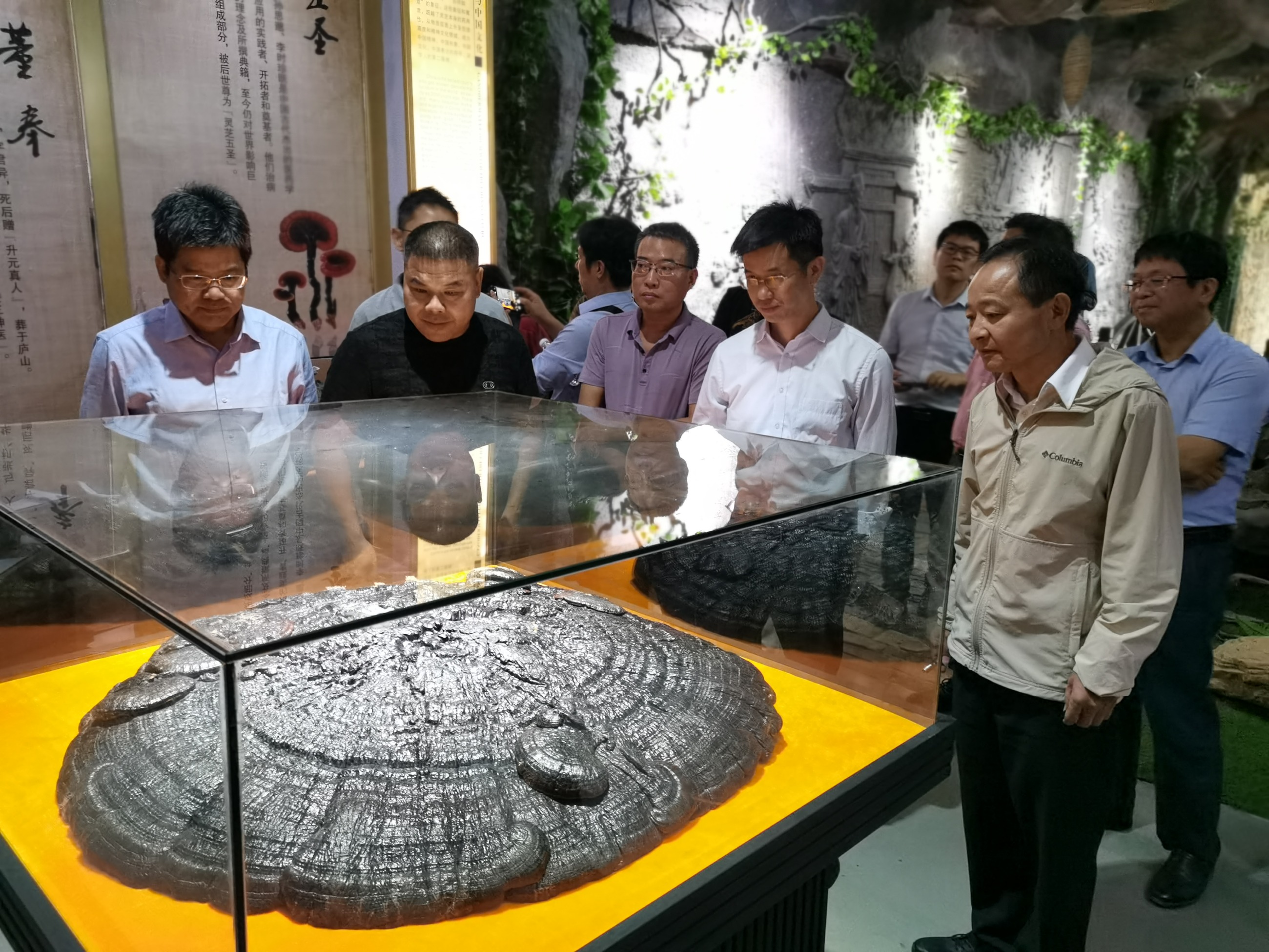 杭州亞運會官方靈芝產(chǎn)品供應(yīng)商|杭州亞運會官方供應(yīng)商|中國靈芝十大品牌|仙客來靈芝|仙客來靈芝破壁孢子粉|仙客來孢子油|仙客來靈芝飲片|仙客來破壁孢子粉|靈芝孢子油|孢子粉|靈芝破壁孢子粉|靈芝|中華老字號