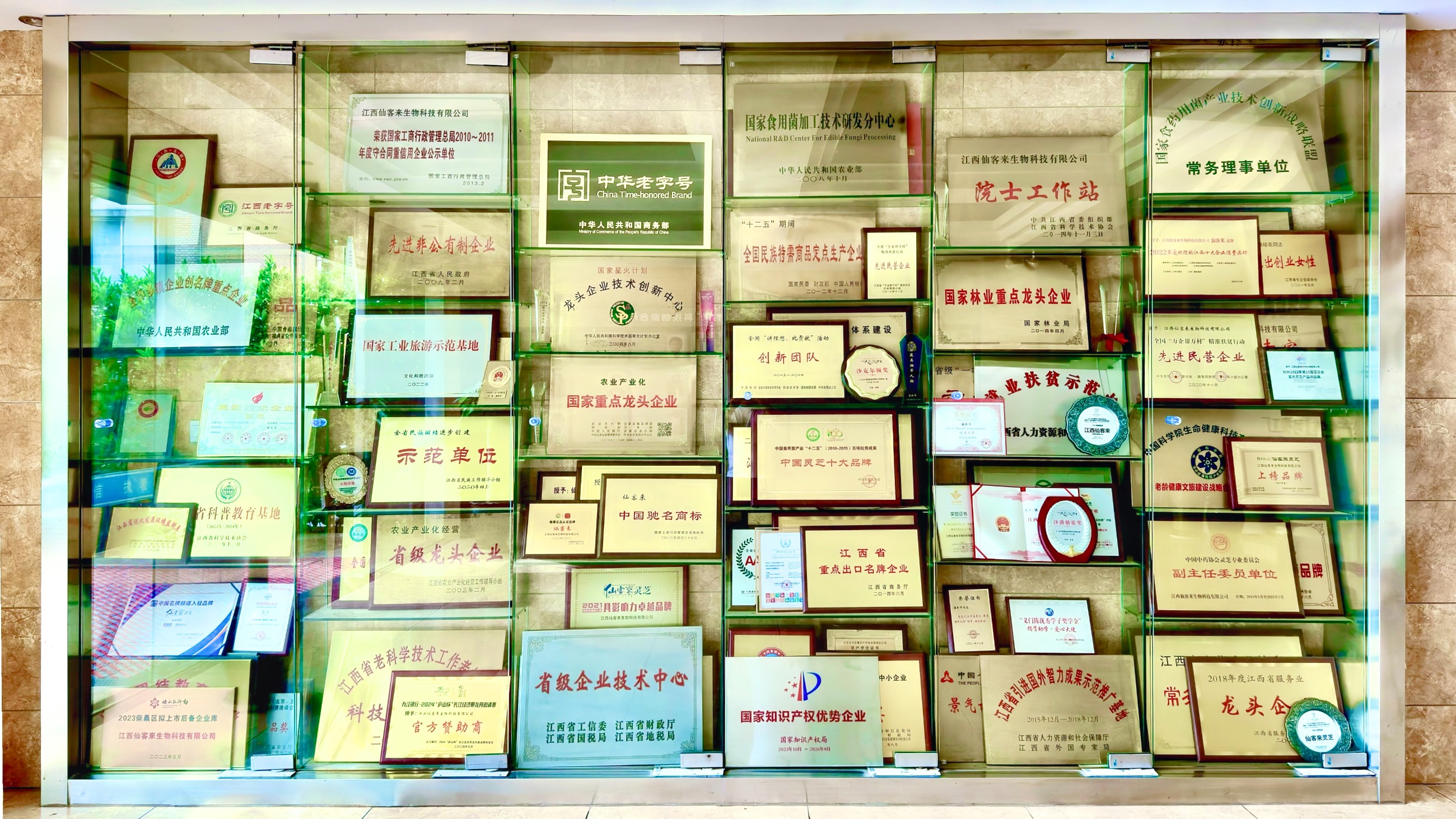 杭州亞運會官方靈芝產(chǎn)品供應商|杭州亞運會官方供應商|中國靈芝十大品牌|仙客來靈芝|仙客來靈芝破壁孢子粉|仙客來孢子油|仙客來靈芝飲片|仙客來破壁孢子粉|靈芝孢子油|孢子粉|靈芝破壁孢子粉|靈芝|中華老字號