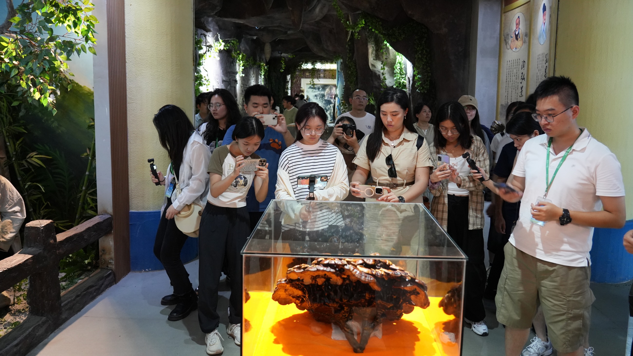 杭州亞運(yùn)會(huì)官方靈芝產(chǎn)品供應(yīng)商|杭州亞運(yùn)會(huì)官方供應(yīng)商|中國靈芝十大品牌|仙客來靈芝|仙客來靈芝破壁孢子粉|仙客來孢子油|仙客來靈芝飲片|仙客來破壁孢子粉|靈芝孢子油|孢子粉|靈芝破壁孢子粉|靈芝|中華老字號(hào)