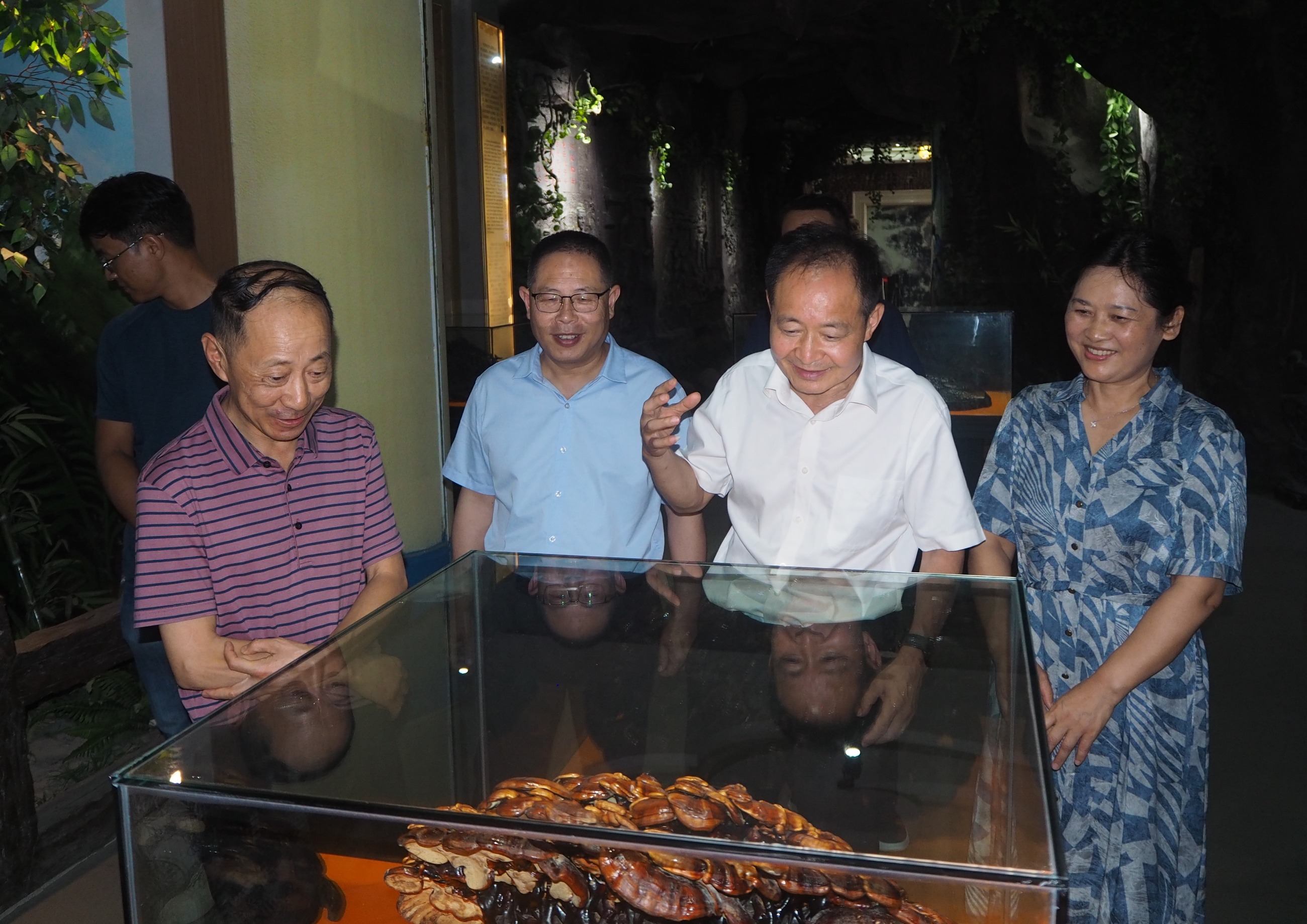 杭州亞運(yùn)會官方靈芝產(chǎn)品供應(yīng)商|杭州亞運(yùn)會官方供應(yīng)商|中國靈芝十大品牌|仙客來靈芝|仙客來靈芝破壁孢子粉|仙客來孢子油|仙客來靈芝飲片|仙客來破壁孢子粉|靈芝孢子油|孢子粉|靈芝破壁孢子粉|靈芝|中華老字號 杭州亞運(yùn)會官方靈芝產(chǎn)品供應(yīng)商|杭州亞運(yùn)會官方供應(yīng)商|中國靈芝十大品牌|仙客來靈芝|仙客來靈芝破壁孢子粉|仙客來孢子油|仙客來靈芝飲片|仙客來破壁孢子粉|靈芝孢子油|孢子粉|靈芝破壁孢子粉|靈芝|中華老字號