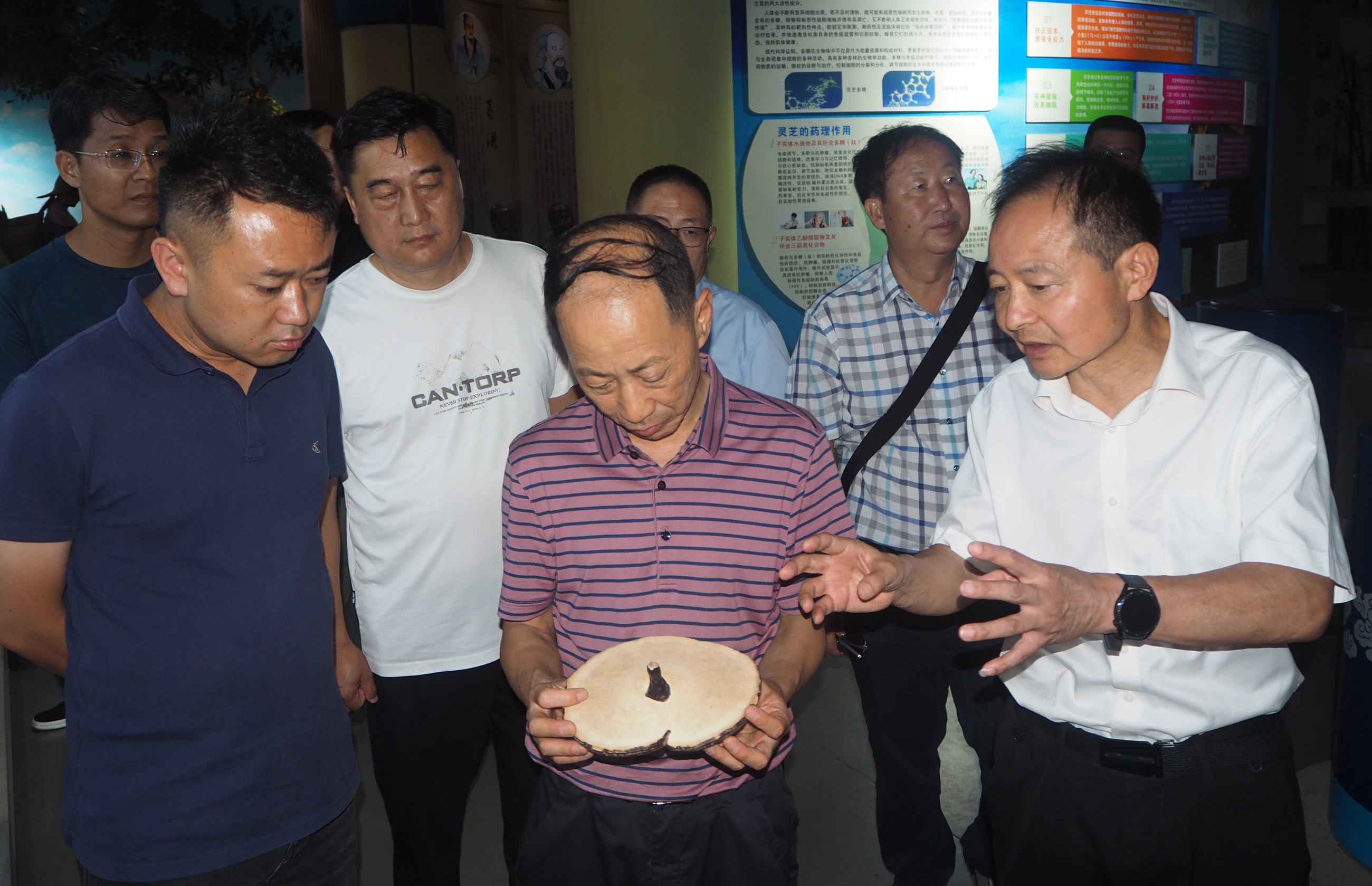 杭州亞運(yùn)會官方靈芝產(chǎn)品供應(yīng)商|杭州亞運(yùn)會官方供應(yīng)商|中國靈芝十大品牌|仙客來靈芝|仙客來靈芝破壁孢子粉|仙客來孢子油|仙客來靈芝飲片|仙客來破壁孢子粉|靈芝孢子油|孢子粉|靈芝破壁孢子粉|靈芝|中華老字號 杭州亞運(yùn)會官方靈芝產(chǎn)品供應(yīng)商|杭州亞運(yùn)會官方供應(yīng)商|中國靈芝十大品牌|仙客來靈芝|仙客來靈芝破壁孢子粉|仙客來孢子油|仙客來靈芝飲片|仙客來破壁孢子粉|靈芝孢子油|孢子粉|靈芝破壁孢子粉|靈芝|中華老字號