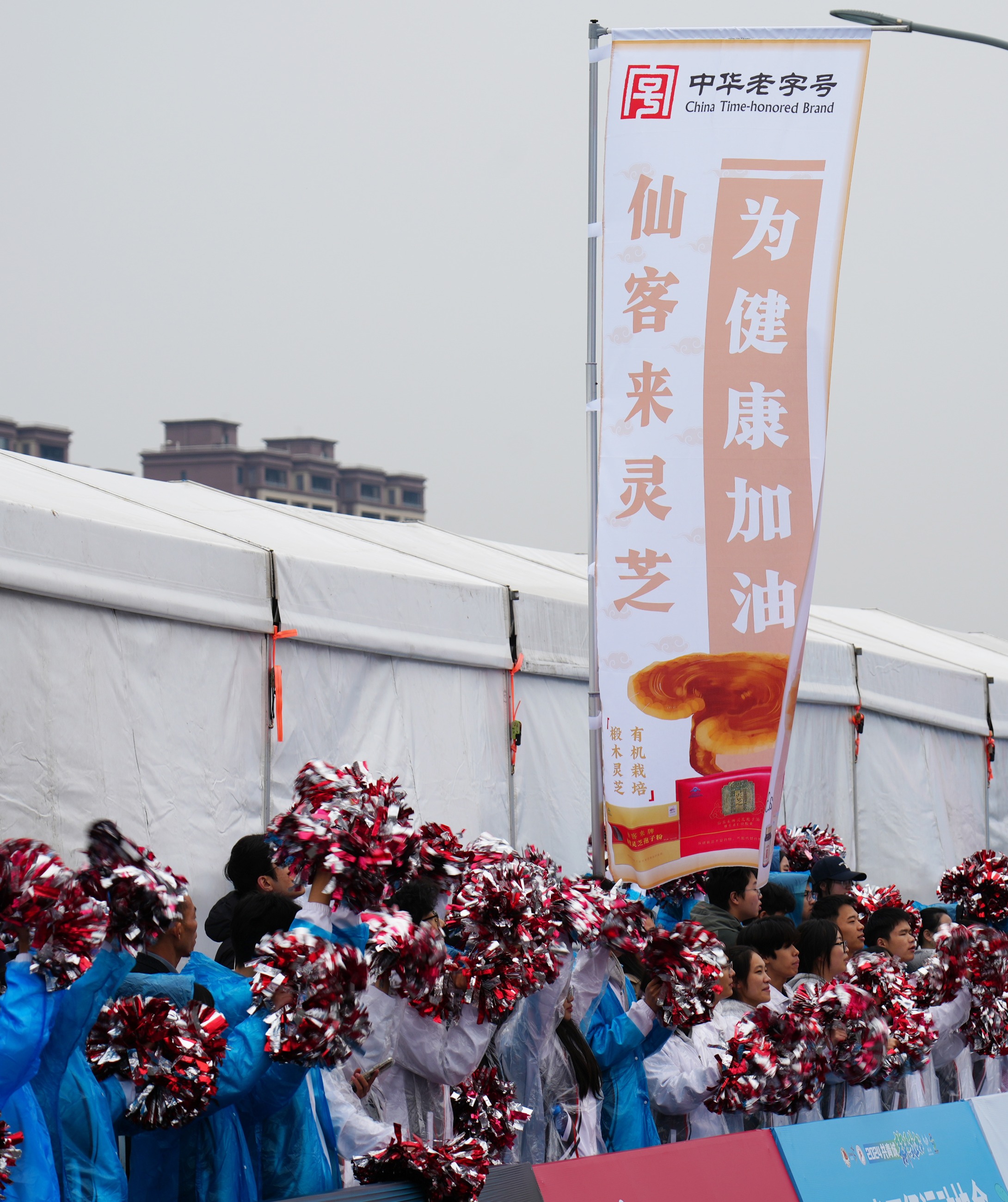 杭州亞運(yùn)會(huì)官方靈芝產(chǎn)品供應(yīng)商|杭州亞運(yùn)會(huì)官方供應(yīng)商|中國靈芝十大品牌|仙客來靈芝|仙客來靈芝破壁孢子粉|仙客來孢子油|仙客來靈芝飲片|仙客來破壁孢子粉|靈芝孢子油|孢子粉|靈芝破壁孢子粉|靈芝|中華老字號(hào)