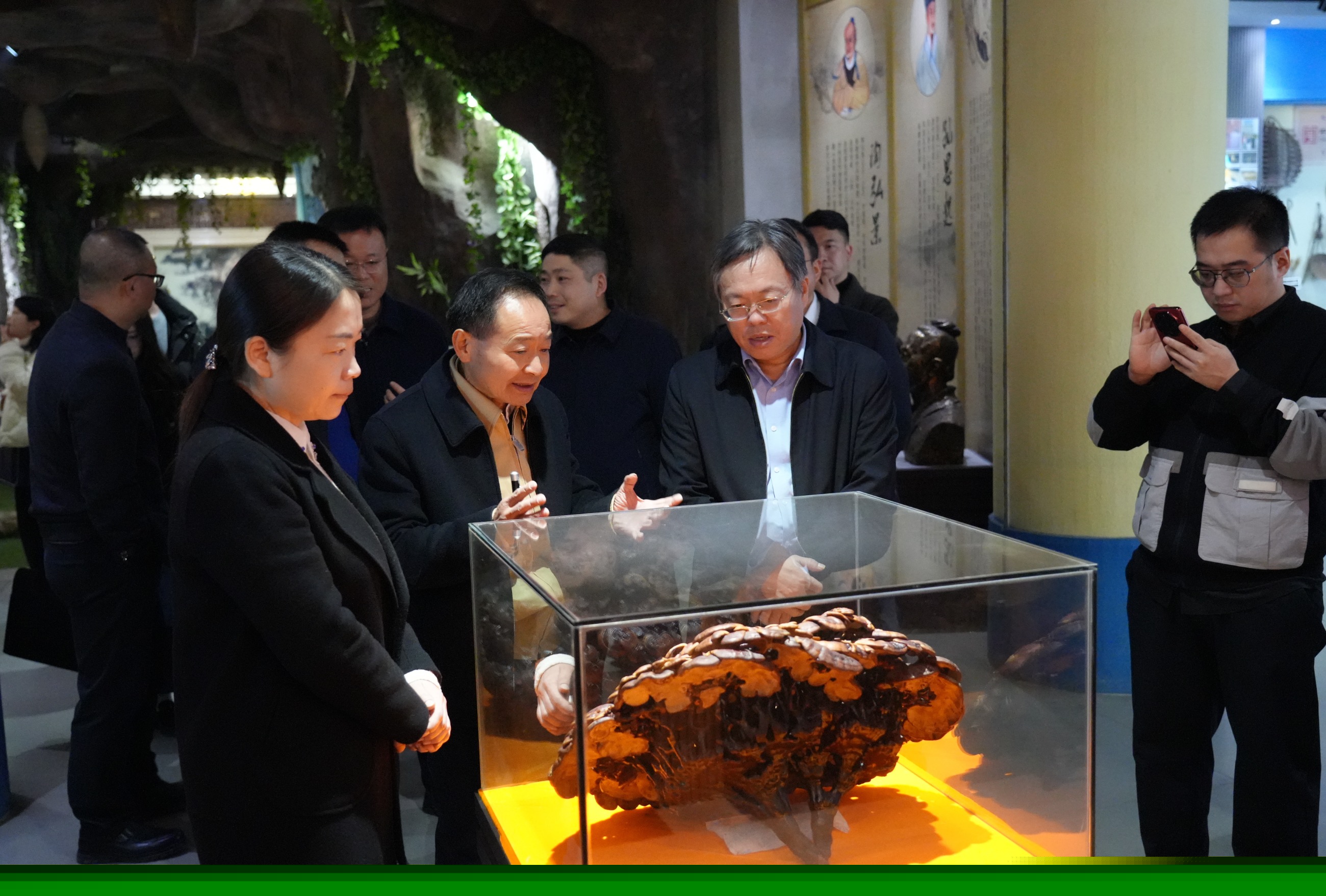 杭州亞運會官方靈芝產品供應商|杭州亞運會官方供應商|中國靈芝十大品牌|仙客來靈芝|仙客來靈芝破壁孢子粉|仙客來孢子油|仙客來靈芝飲片|仙客來破壁孢子粉|靈芝孢子油|孢子粉|靈芝破壁孢子粉|靈芝|中華老字號 杭州亞運會官方靈芝產品供應商|杭州亞運會官方供應商|中國靈芝十大品牌|仙客來靈芝|仙客來靈芝破壁孢子粉|仙客來孢子油|仙客來靈芝飲片|仙客來破壁孢子粉|靈芝孢子油|孢子粉|靈芝破壁孢子粉|靈芝|中華老字號