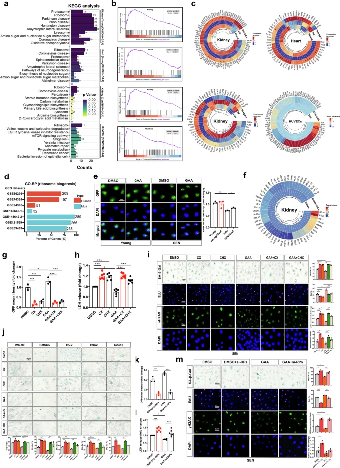 杭州亞運會官方靈芝產(chǎn)品供應商|杭州亞運會官方供應商|中國靈芝十大品牌|仙客來靈芝|仙客來靈芝破壁孢子粉|仙客來孢子油|仙客來靈芝飲片|仙客來破壁孢子粉|靈芝孢子油|孢子粉|靈芝破壁孢子粉|靈芝|中華老字號