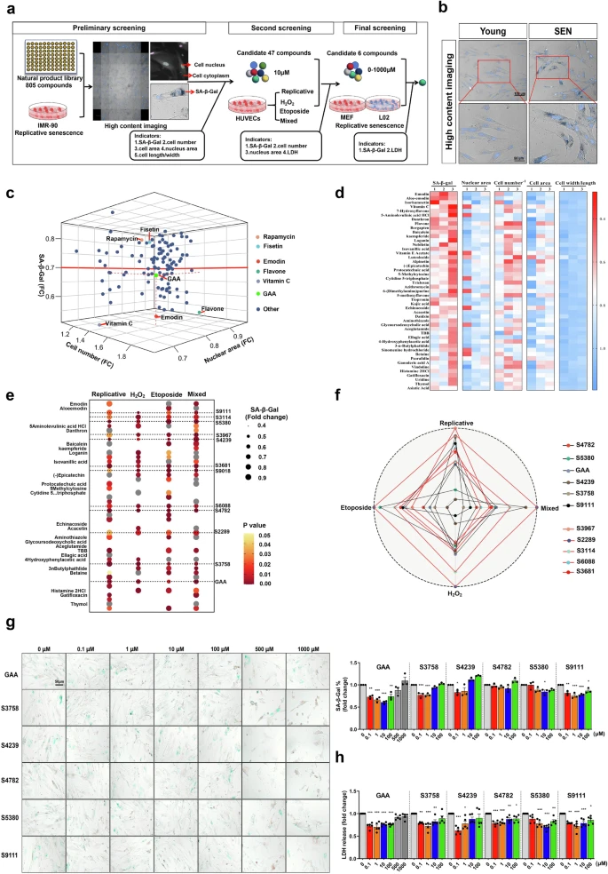 杭州亞運會官方靈芝產(chǎn)品供應商|杭州亞運會官方供應商|中國靈芝十大品牌|仙客來靈芝|仙客來靈芝破壁孢子粉|仙客來孢子油|仙客來靈芝飲片|仙客來破壁孢子粉|靈芝孢子油|孢子粉|靈芝破壁孢子粉|靈芝|中華老字號
