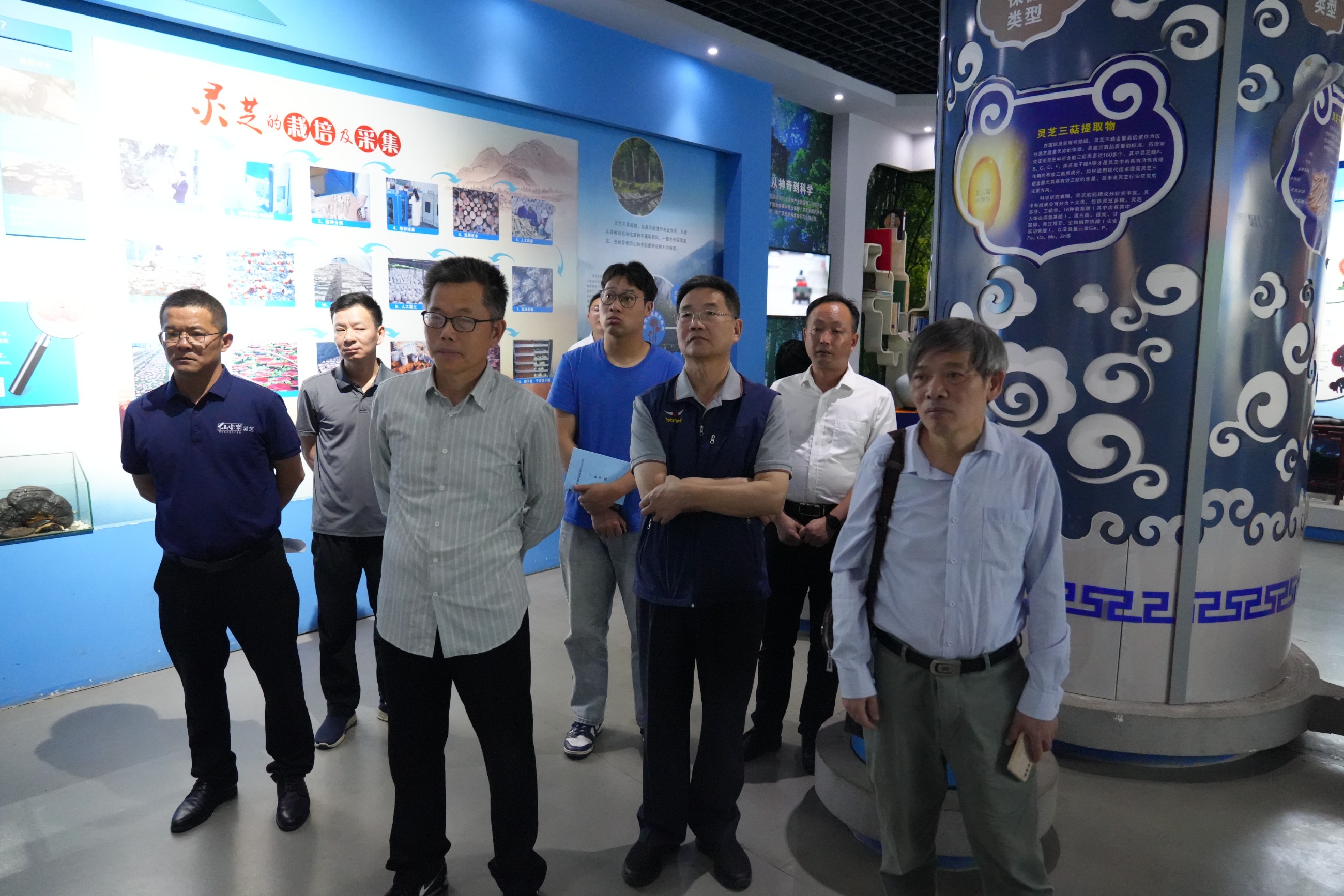 杭州亞運(yùn)會官方靈芝產(chǎn)品供應(yīng)商|杭州亞運(yùn)會官方供應(yīng)商|中國靈芝十大品牌|仙客來靈芝|仙客來靈芝破壁孢子粉|仙客來孢子油|仙客來靈芝飲片|仙客來破壁孢子粉|靈芝孢子油|孢子粉|靈芝破壁孢子粉|靈芝|中華老字號