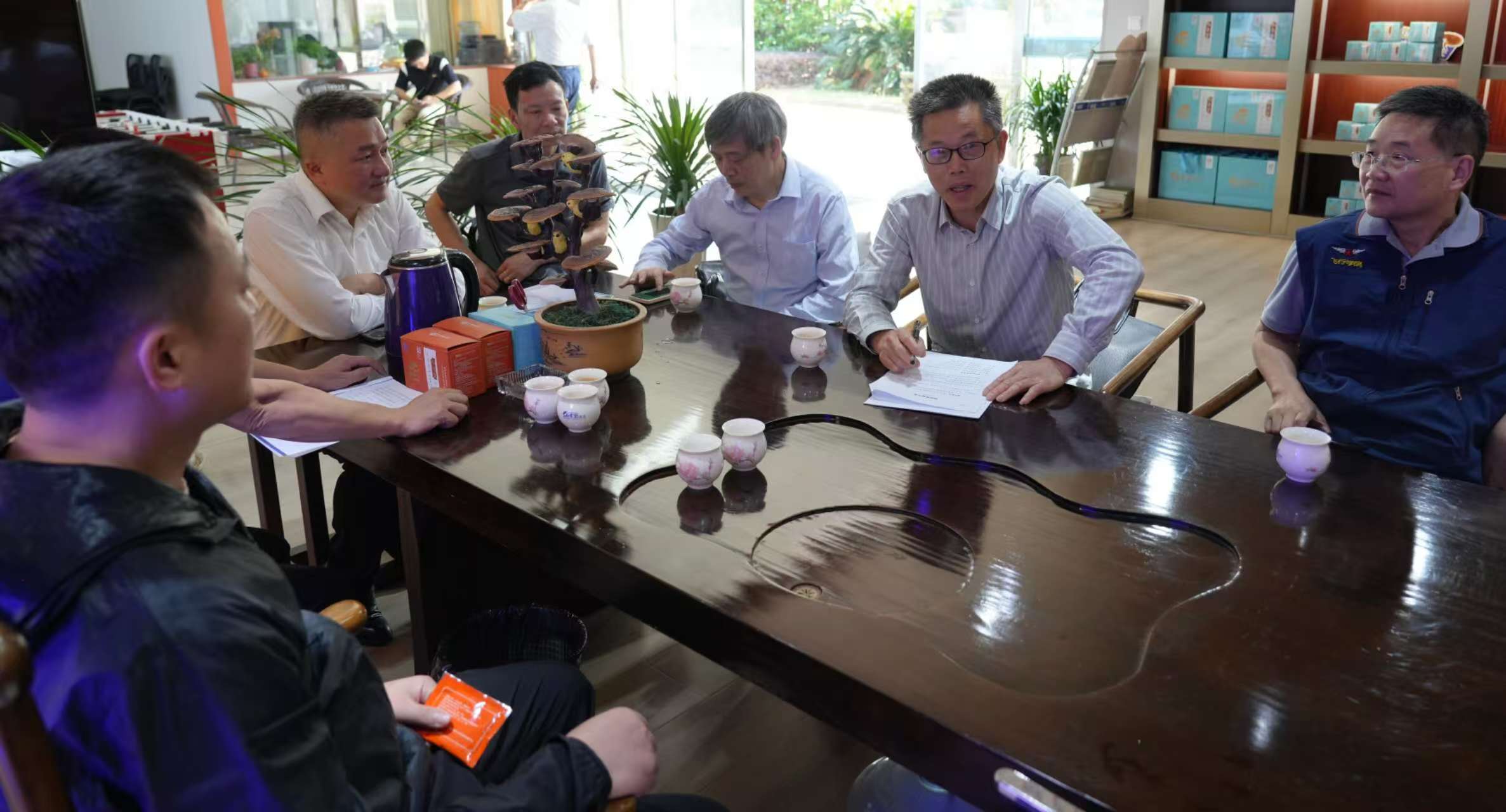 杭州亞運(yùn)會官方靈芝產(chǎn)品供應(yīng)商|杭州亞運(yùn)會官方供應(yīng)商|中國靈芝十大品牌|仙客來靈芝|仙客來靈芝破壁孢子粉|仙客來孢子油|仙客來靈芝飲片|仙客來破壁孢子粉|靈芝孢子油|孢子粉|靈芝破壁孢子粉|靈芝|中華老字號