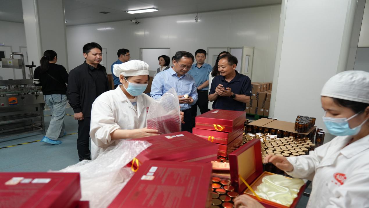 杭州亞運(yùn)會官方靈芝產(chǎn)品供應(yīng)商|杭州亞運(yùn)會官方供應(yīng)商|中國靈芝十大品牌|仙客來靈芝|仙客來靈芝破壁孢子粉|仙客來孢子油|仙客來靈芝飲片|仙客來破壁孢子粉|靈芝孢子油|孢子粉|靈芝破壁孢子粉|靈芝|中華老字號