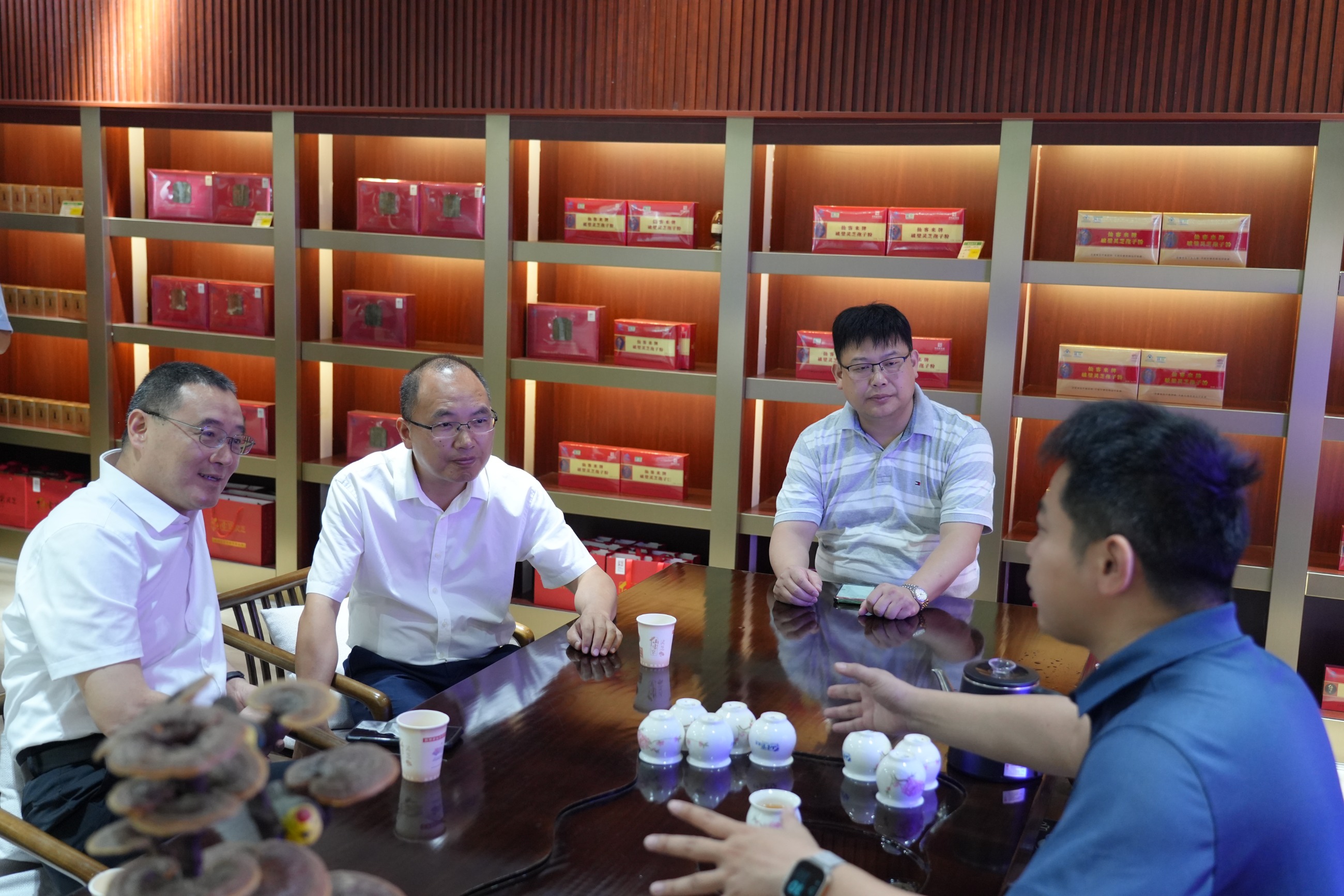 杭州亞運(yùn)會(huì)官方靈芝產(chǎn)品供應(yīng)商|杭州亞運(yùn)會(huì)官方供應(yīng)商|中國(guó)靈芝十大品牌|仙客來(lái)靈芝|仙客來(lái)靈芝破壁孢子粉|仙客來(lái)孢子油|仙客來(lái)靈芝飲片|仙客來(lái)破壁孢子粉|靈芝孢子油|孢子粉|靈芝破壁孢子粉|靈芝|中華老字號(hào)