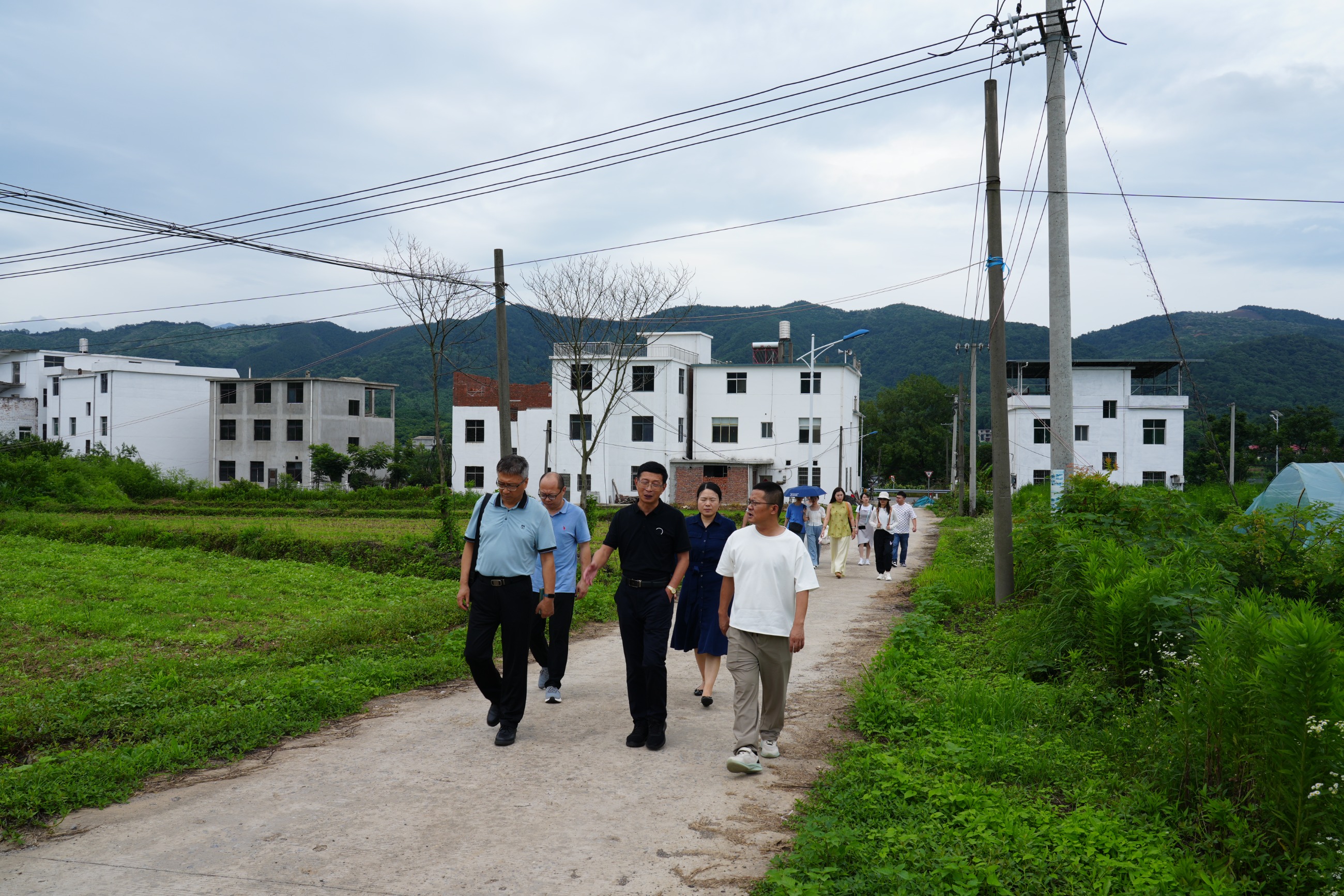 杭州亞運(yùn)會官方靈芝產(chǎn)品供應(yīng)商|杭州亞運(yùn)會官方供應(yīng)商|中國靈芝十大品牌|仙客來靈芝|仙客來靈芝破壁孢子粉|仙客來孢子油|仙客來靈芝飲片|仙客來破壁孢子粉|靈芝孢子油|孢子粉|靈芝破壁孢子粉|靈芝|中華老字號
