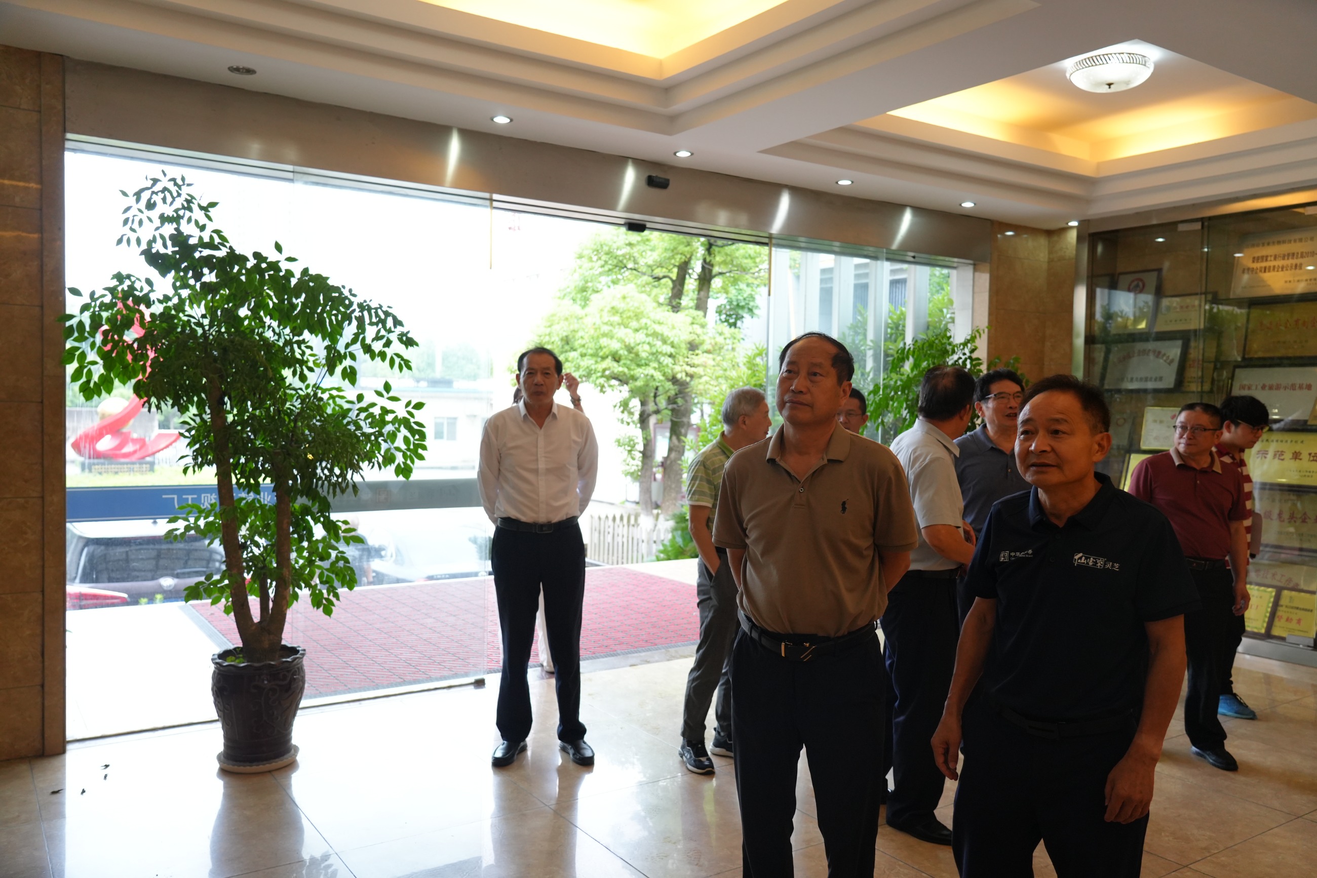 杭州亞運會官方靈芝產(chǎn)品供應商|杭州亞運會官方供應商|中國靈芝十大品牌|仙客來靈芝|仙客來靈芝破壁孢子粉|仙客來孢子油|仙客來靈芝飲片|仙客來破壁孢子粉|靈芝孢子油|孢子粉|靈芝破壁孢子粉|靈芝|中華老字號