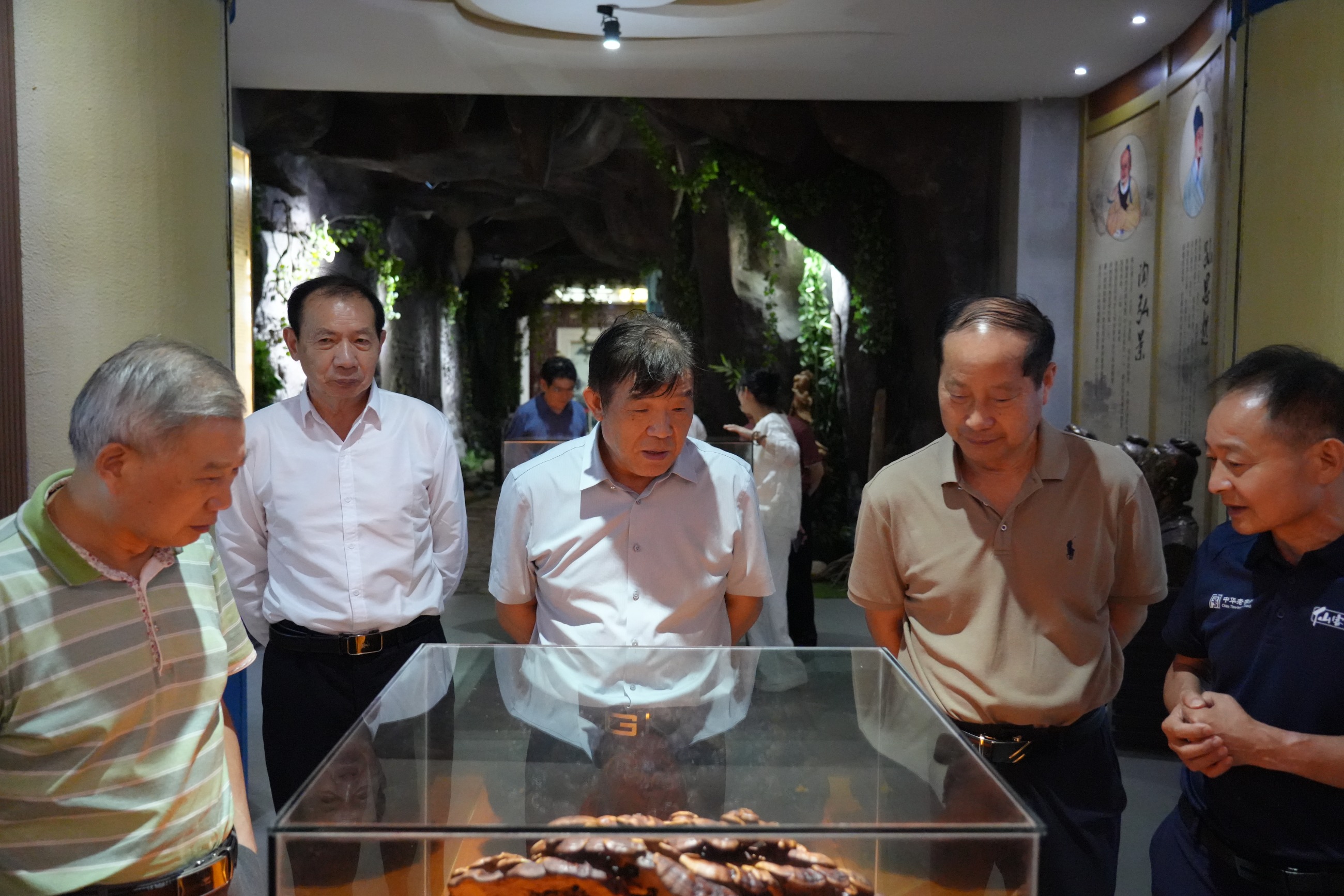 杭州亞運會官方靈芝產(chǎn)品供應商|杭州亞運會官方供應商|中國靈芝十大品牌|仙客來靈芝|仙客來靈芝破壁孢子粉|仙客來孢子油|仙客來靈芝飲片|仙客來破壁孢子粉|靈芝孢子油|孢子粉|靈芝破壁孢子粉|靈芝|中華老字號