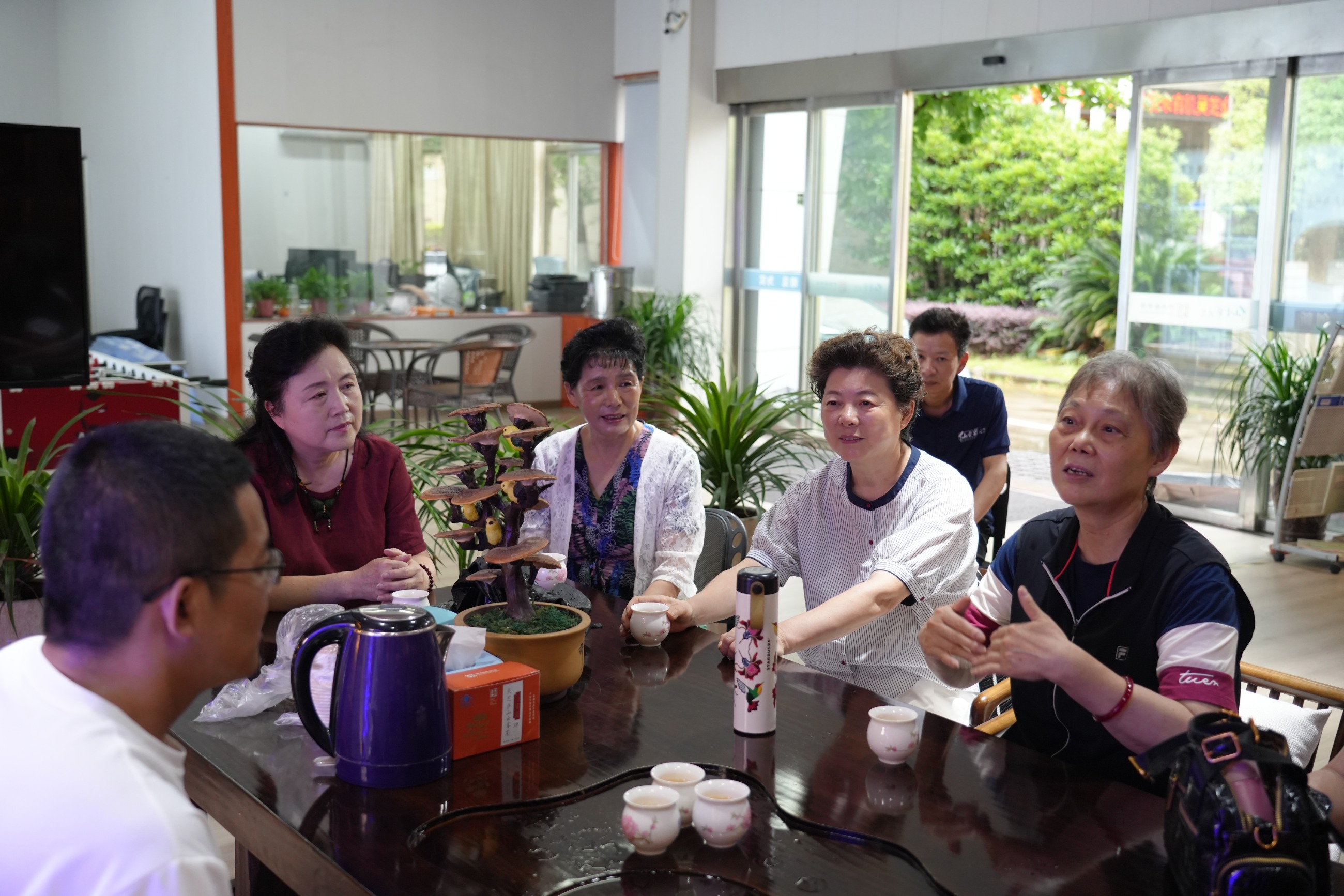 杭州亞運會官方靈芝產(chǎn)品供應(yīng)商|杭州亞運會官方供應(yīng)商|中國靈芝十大品牌|仙客來靈芝|仙客來靈芝破壁孢子粉|仙客來孢子油|仙客來靈芝飲片|仙客來破壁孢子粉|靈芝孢子油|孢子粉|靈芝破壁孢子粉|靈芝|中華老字號