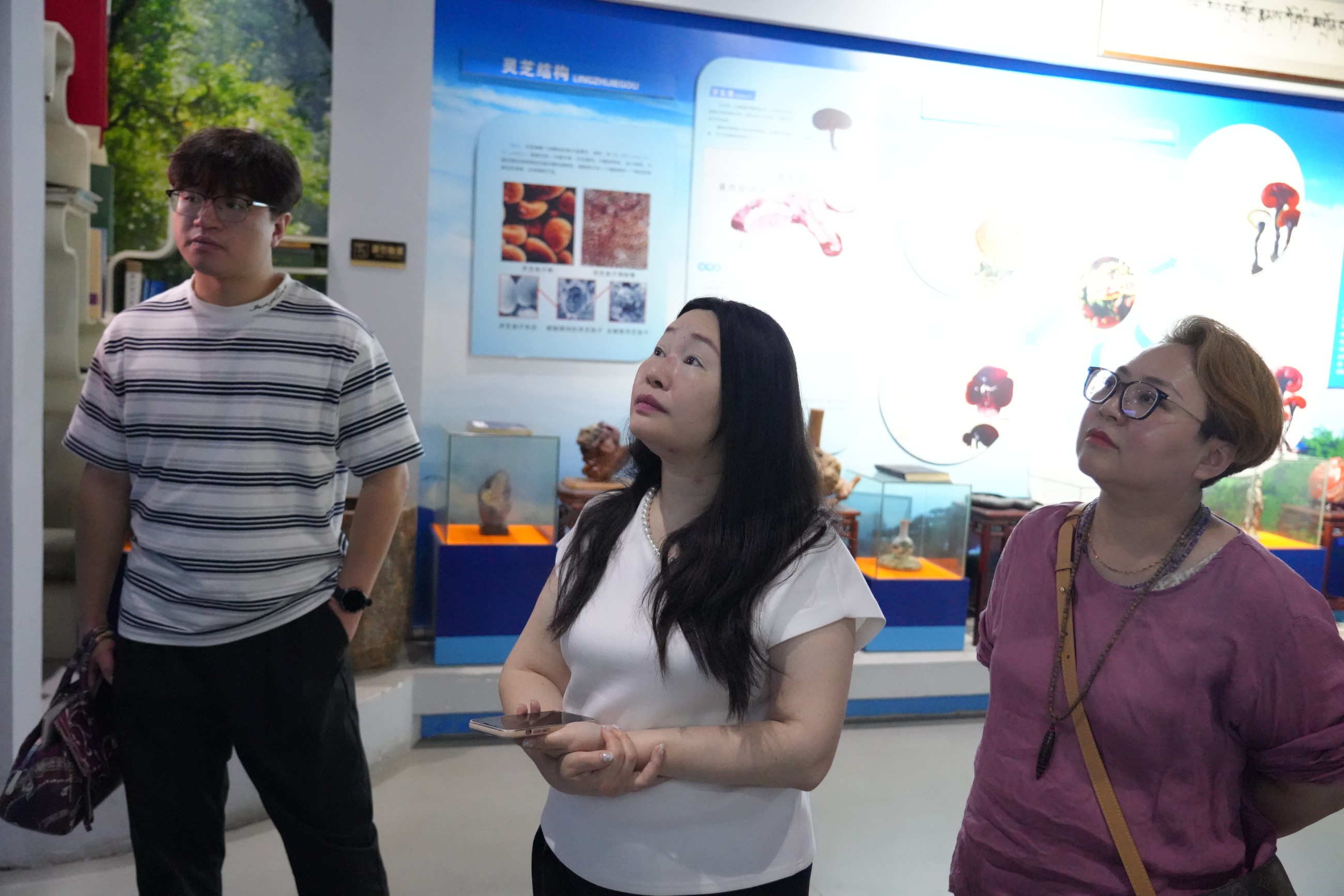 杭州亞運(yùn)會(huì)官方靈芝產(chǎn)品供應(yīng)商|杭州亞運(yùn)會(huì)官方供應(yīng)商|中國(guó)靈芝十大品牌|仙客來(lái)靈芝|仙客來(lái)靈芝破壁孢子粉|仙客來(lái)孢子油|仙客來(lái)靈芝飲片|仙客來(lái)破壁孢子粉|靈芝孢子油|孢子粉|靈芝破壁孢子粉|靈芝|中華老字號(hào)