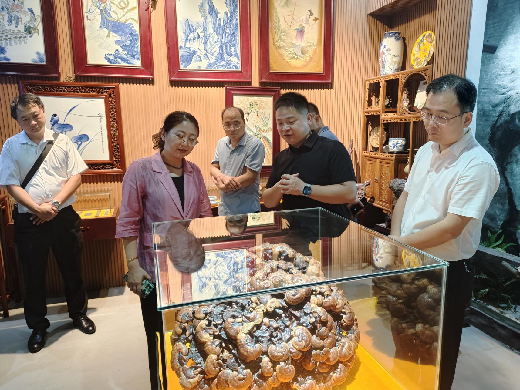 杭州亞運(yùn)會(huì)官方靈芝產(chǎn)品供應(yīng)商|杭州亞運(yùn)會(huì)官方供應(yīng)商|中國靈芝十大品牌|仙客來靈芝|仙客來靈芝破壁孢子粉|仙客來孢子油|仙客來靈芝飲片|仙客來破壁孢子粉|靈芝孢子油|孢子粉|靈芝破壁孢子粉|靈芝|中華老字號(hào)